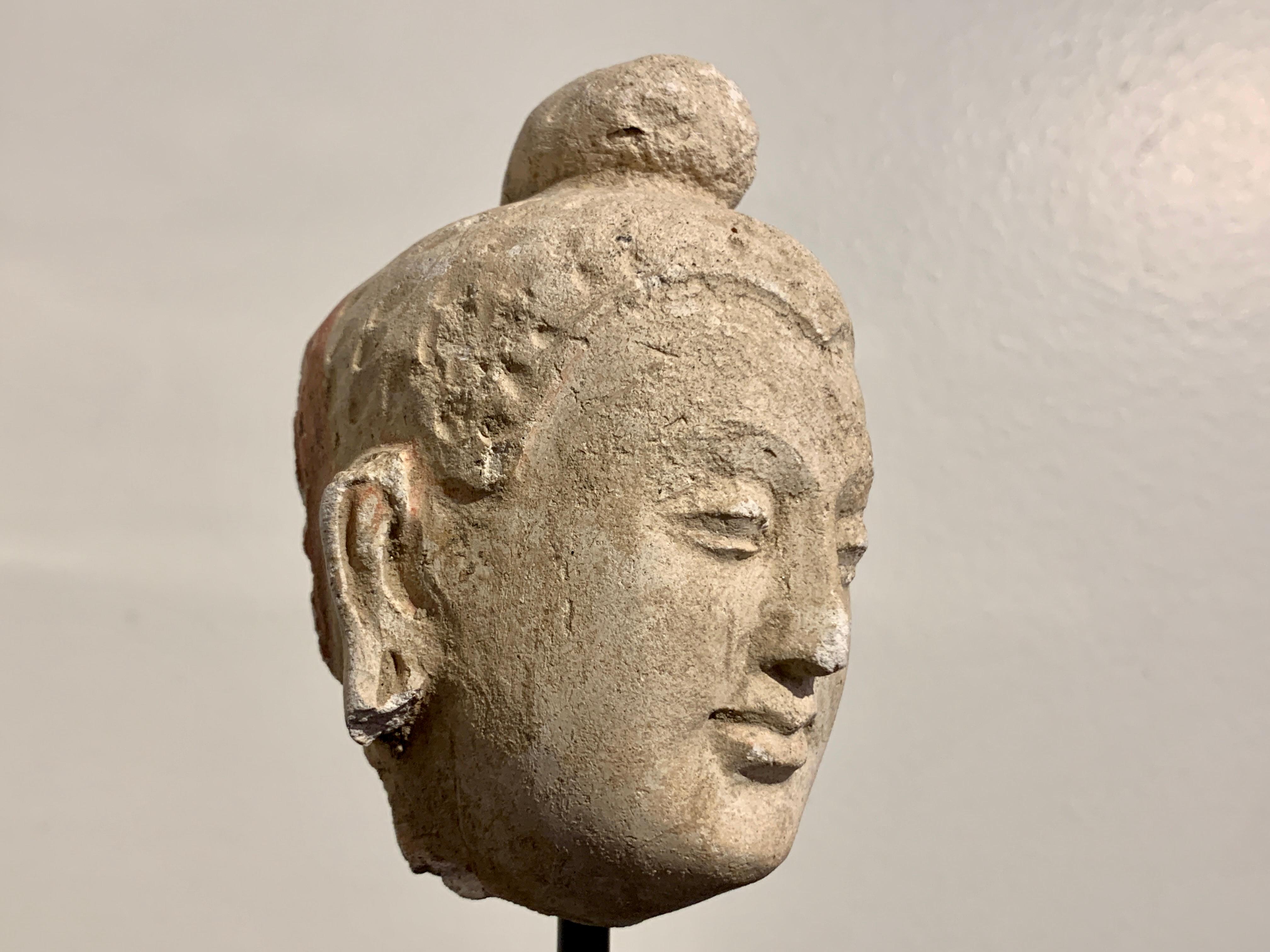 18th Century and Earlier Gandharan Small Stucco Buddha Head, Style of Hadda, 5th-6th Century For Sale
