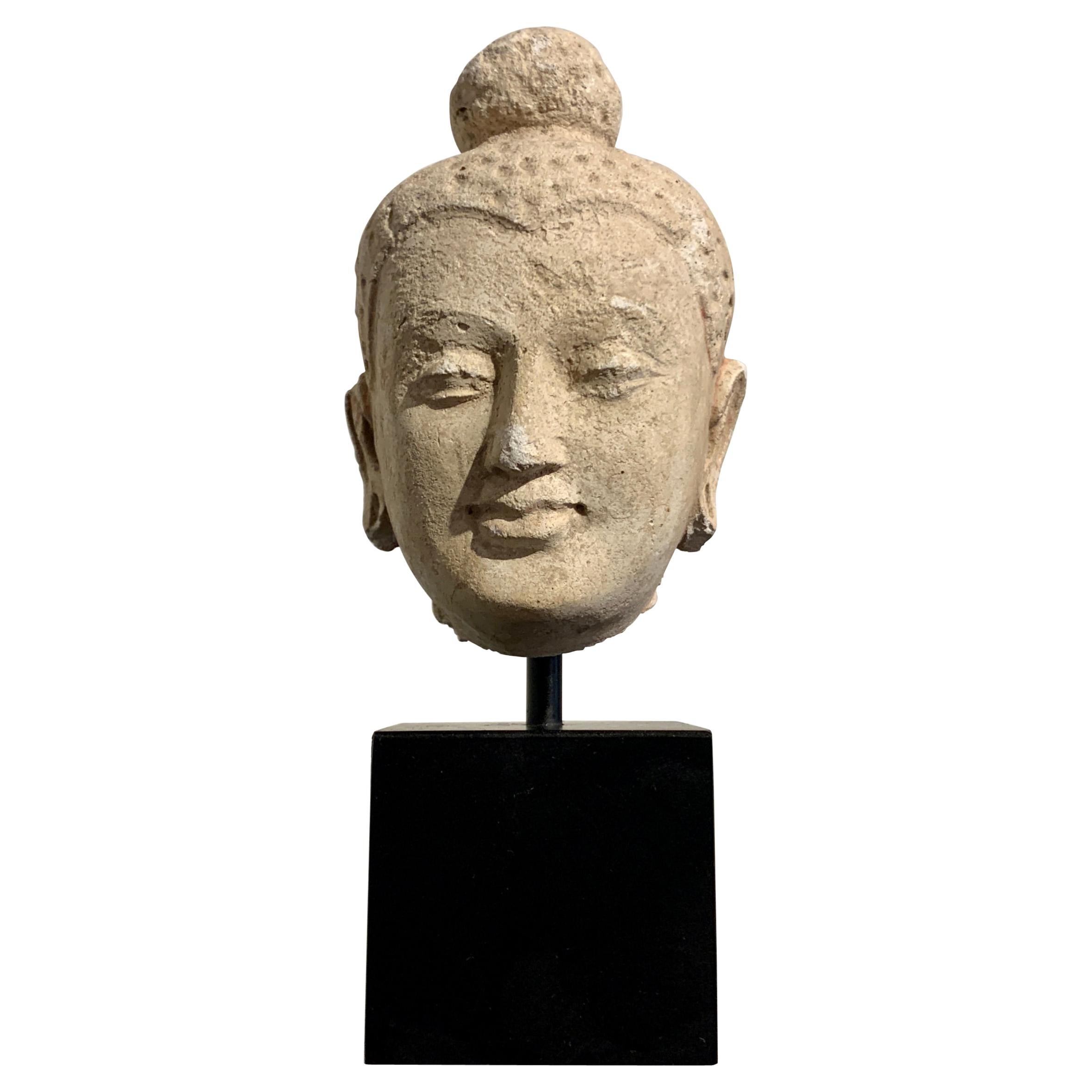 Gandharan, kleiner Stuck-Buddha-Kopf im Stil von Hadda, 5.-6. Jahrhundert