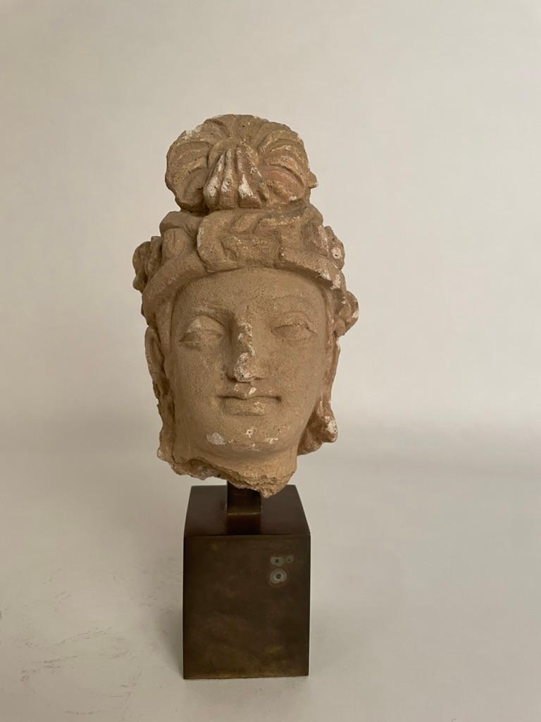 Stuckkopf eines Bodhisattva aus Gandharan, 3.-5. Jahrhundert im Angebot 11