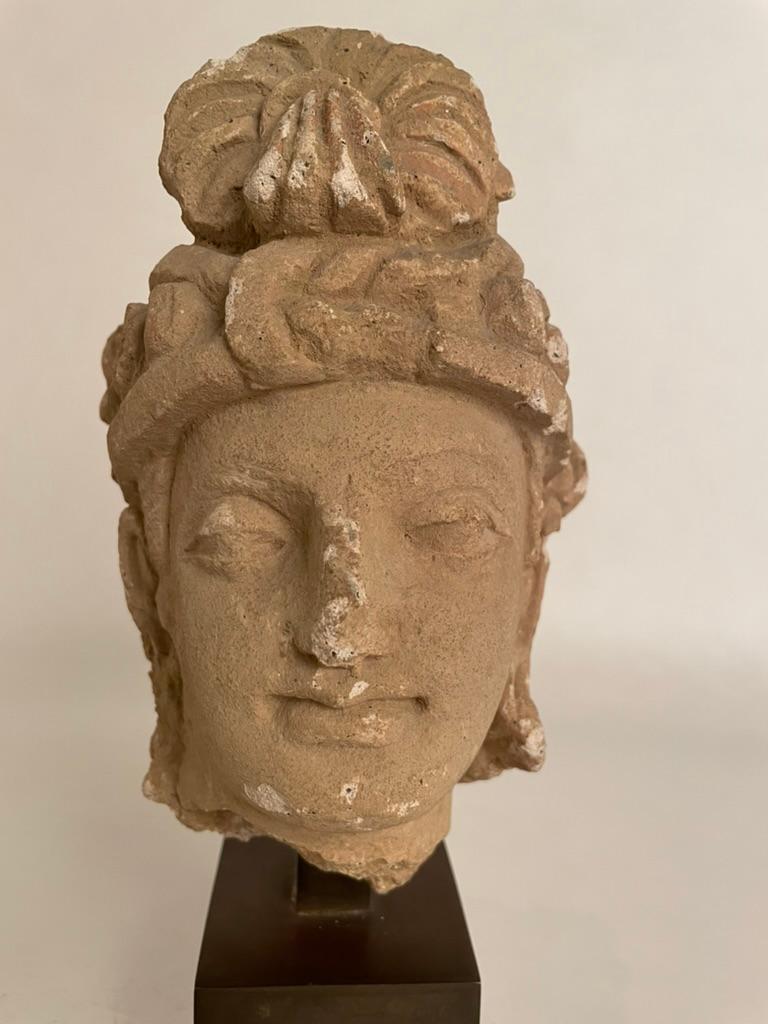 Stuckkopf eines Bodhisattva aus Gandharan, 3.-5. Jahrhundert (18. Jahrhundert und früher) im Angebot