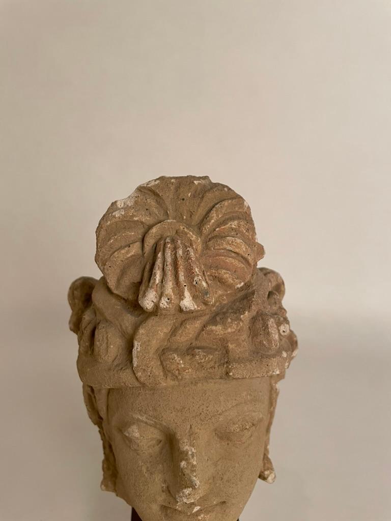 Stuckkopf eines Bodhisattva aus Gandharan, 3.-5. Jahrhundert im Angebot 1
