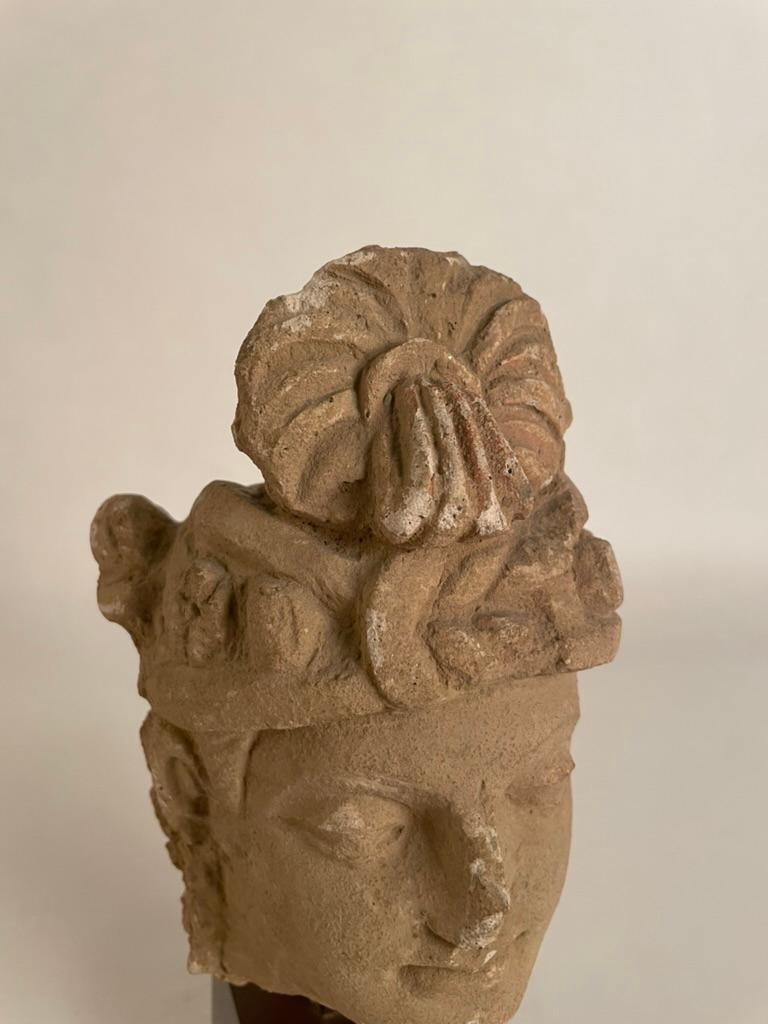 Stuckkopf eines Bodhisattva aus Gandharan, 3.-5. Jahrhundert im Angebot 2