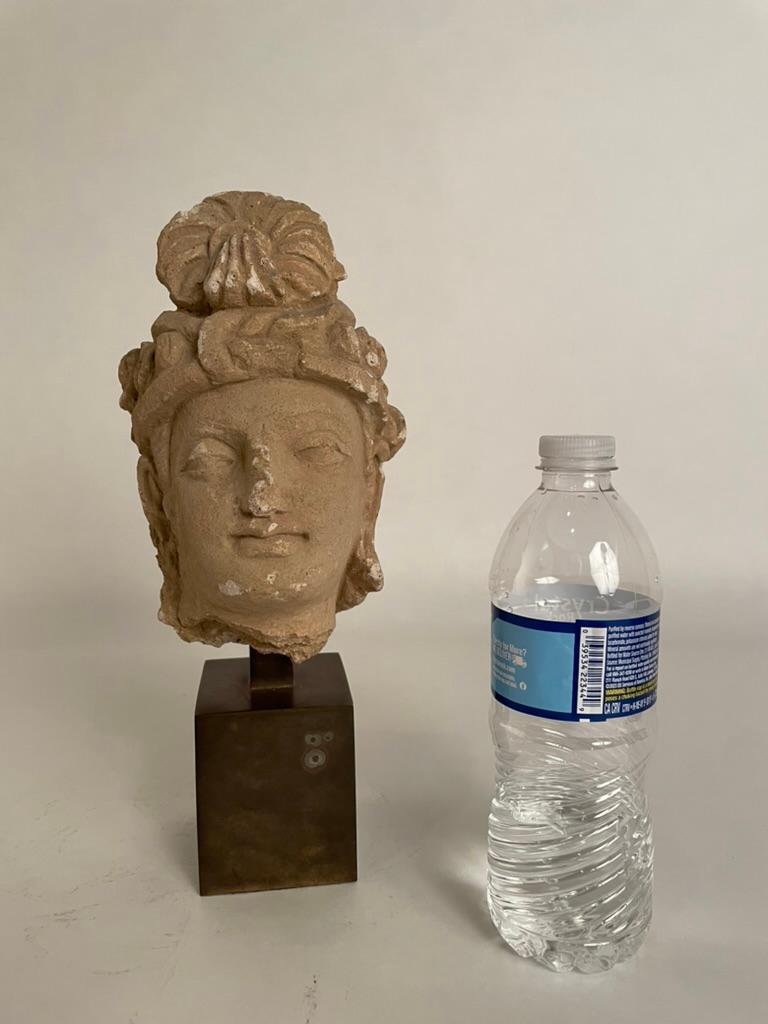 Gandharan Stucco Head of a Bodhisattva, 3rd-5th Century For Sale 3