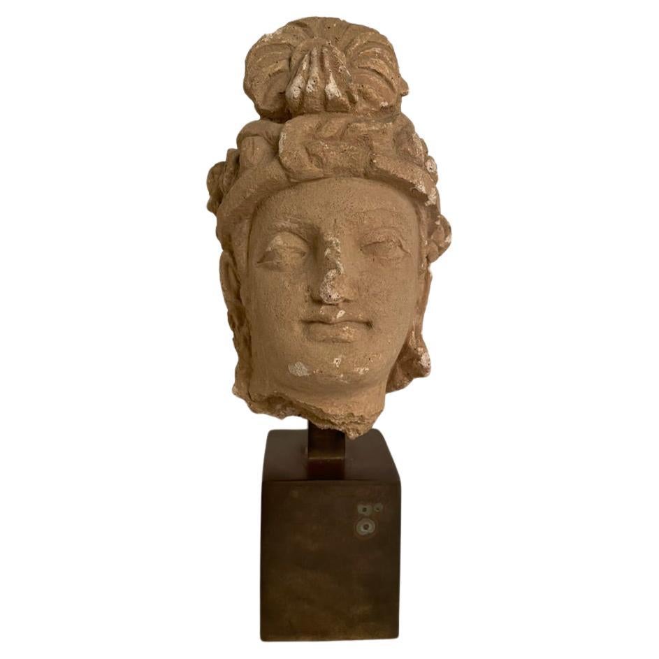 Stuckkopf eines Bodhisattva aus Gandharan, 3.-5. Jahrhundert im Angebot