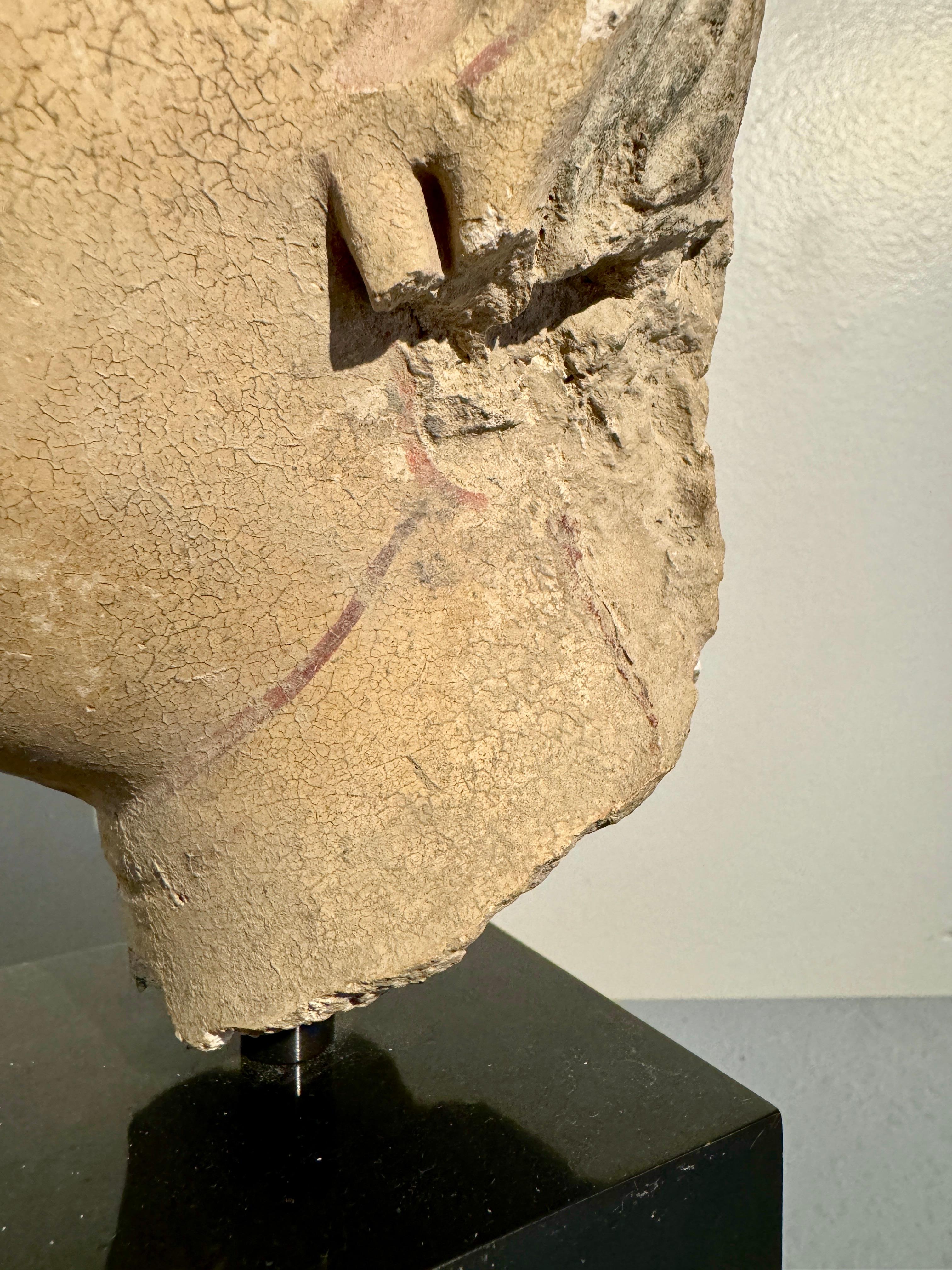 Tête d'un Bodhisattva en stuc Gandharan, probablement Hadda, 4e - 5e siècle en vente 5