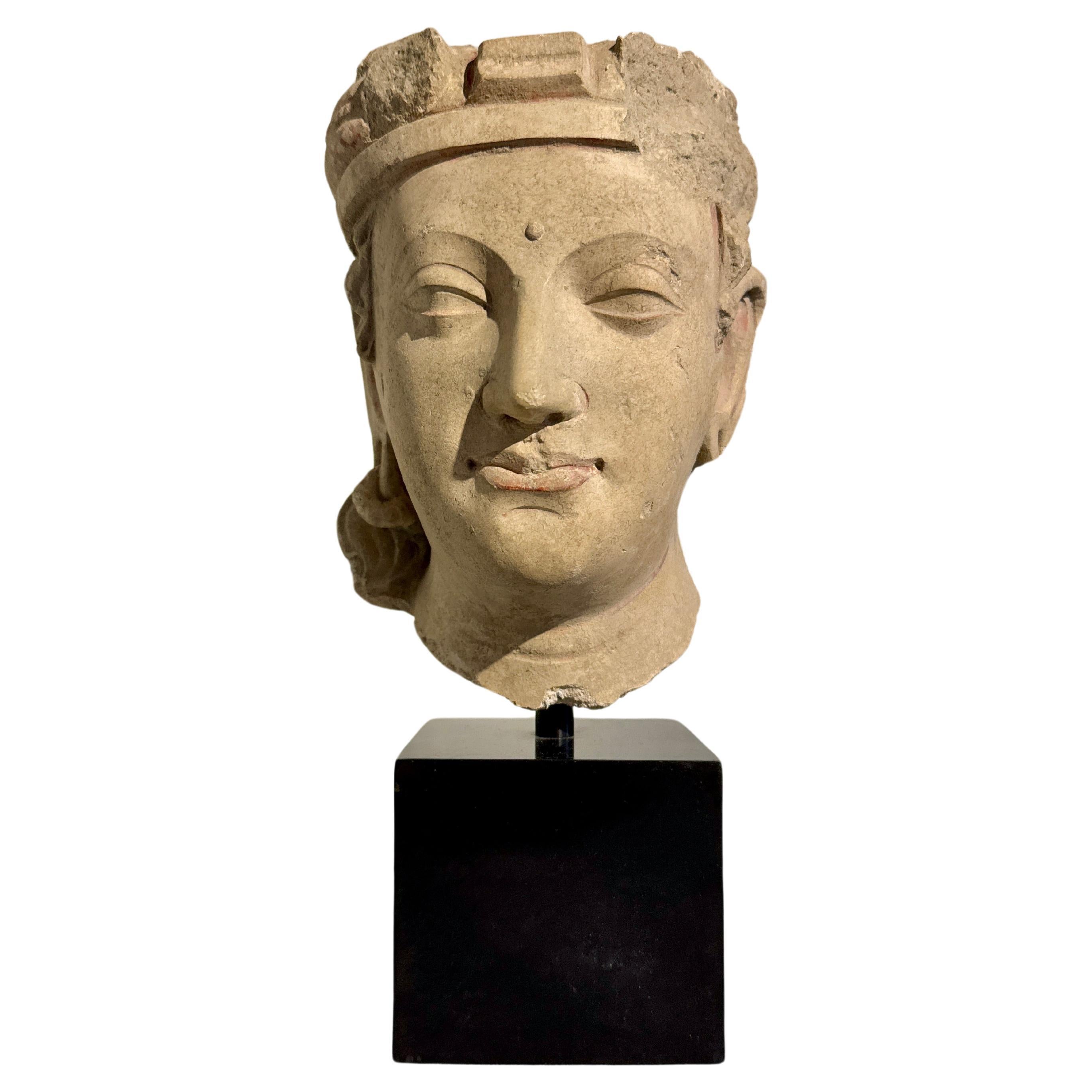 Sublime tête de bodhisattva en stuc modelé du Gandhara, période Kushan, 4e - 5e siècle, ancien royaume du Gandhara, probablement Hadda, Afghanistan.

Le Bodhisattva non identifié est représenté comme un jeune prince aux traits nobles. Une marque au