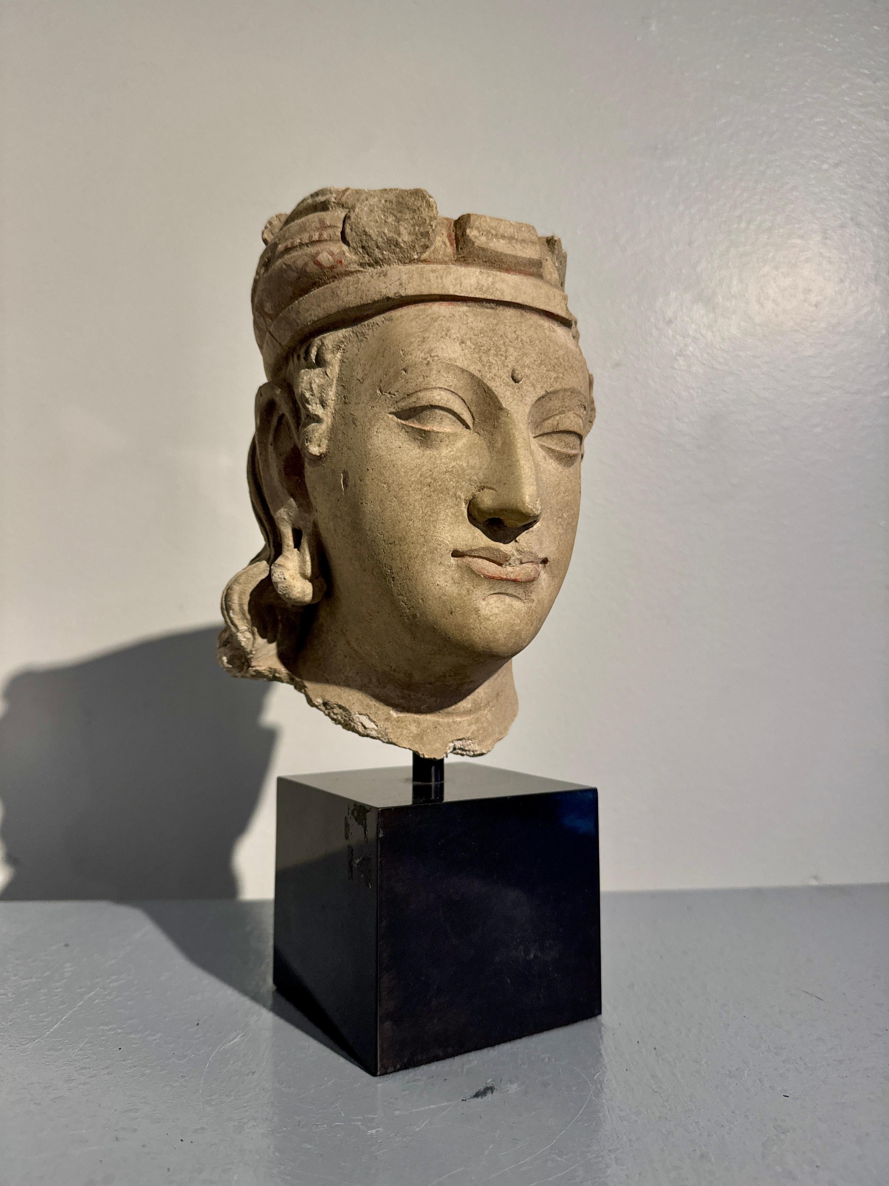 XVIIIe siècle et antérieur Tête d'un Bodhisattva en stuc Gandharan, probablement Hadda, 4e - 5e siècle en vente