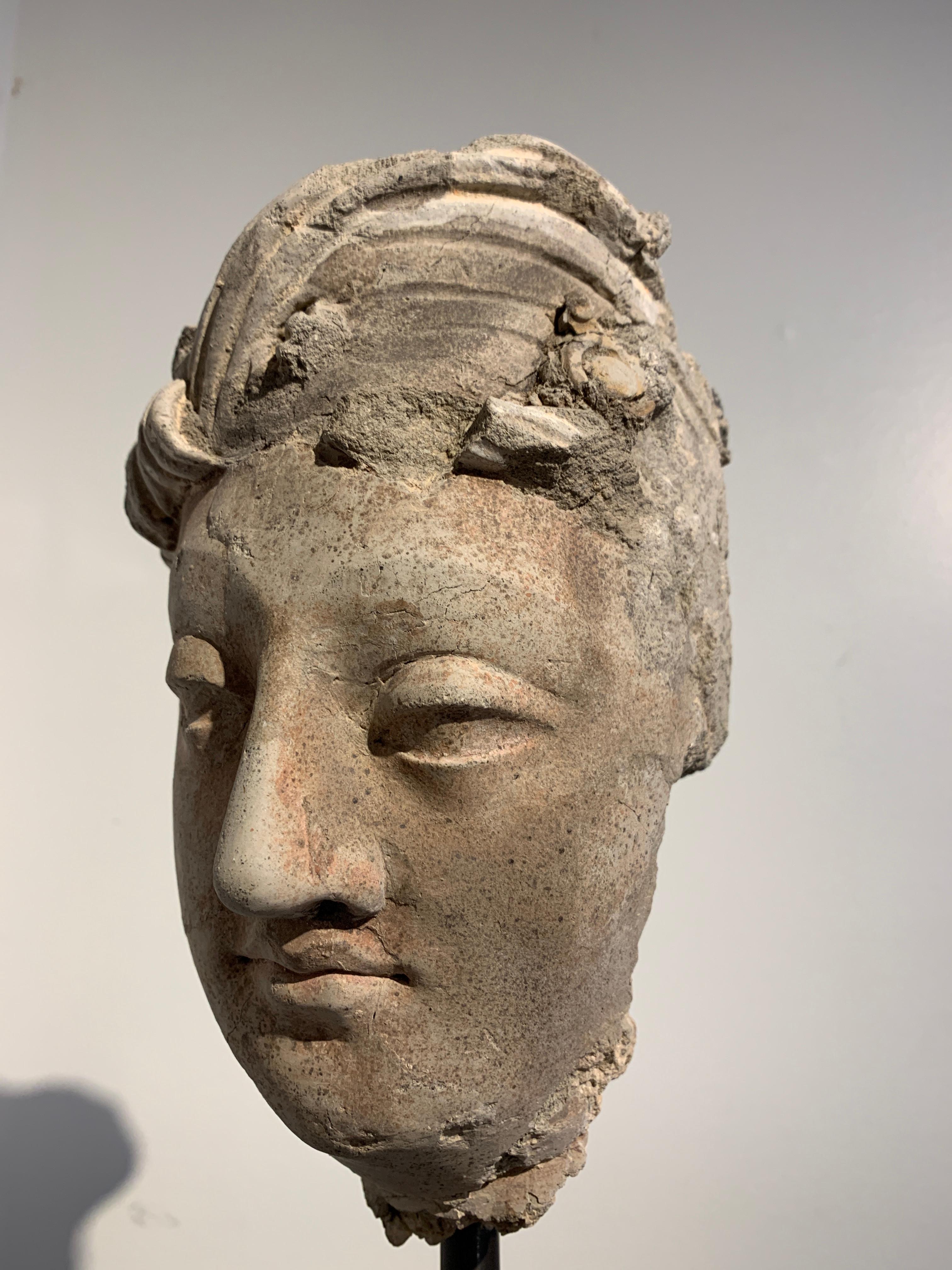 Stuckkopf eines Bodhisattva aus Gandharan, Region Hadda, 3.-5. Jahrhundert im Angebot 4