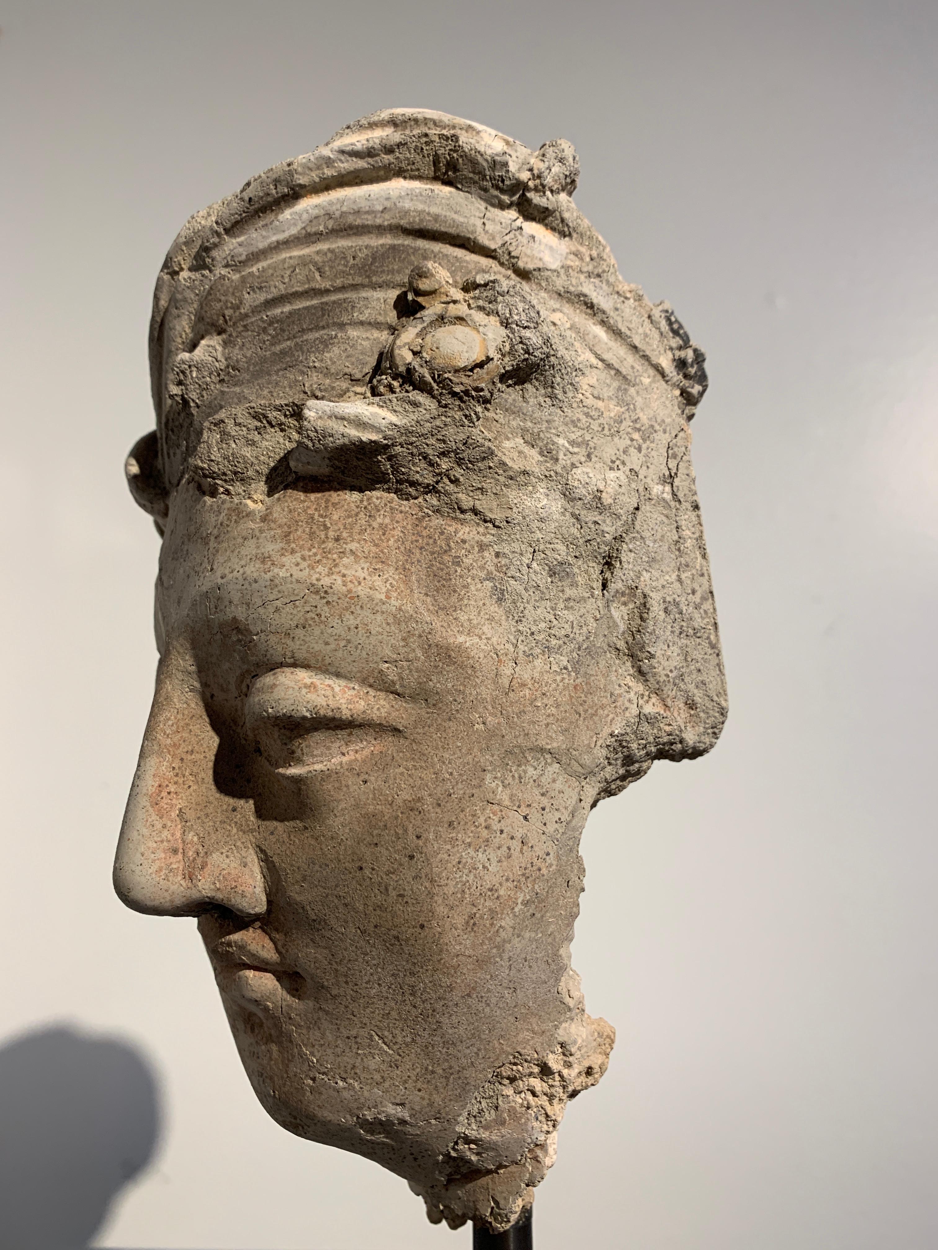 Cabeza de Bodhisattva en estuco gandhariano, región de Hadda, siglos III-V en venta 4