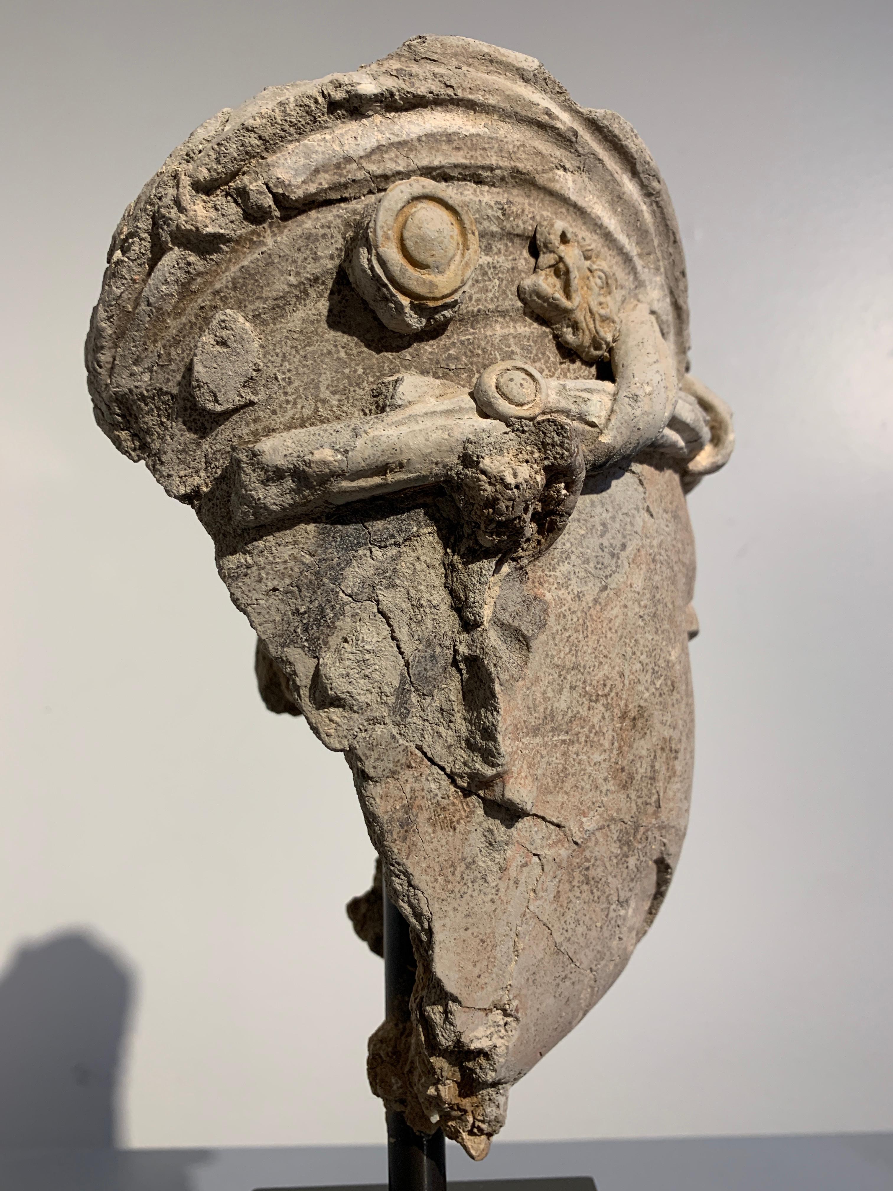 Cabeza de Bodhisattva en estuco gandhariano, región de Hadda, siglos III-V en venta 6
