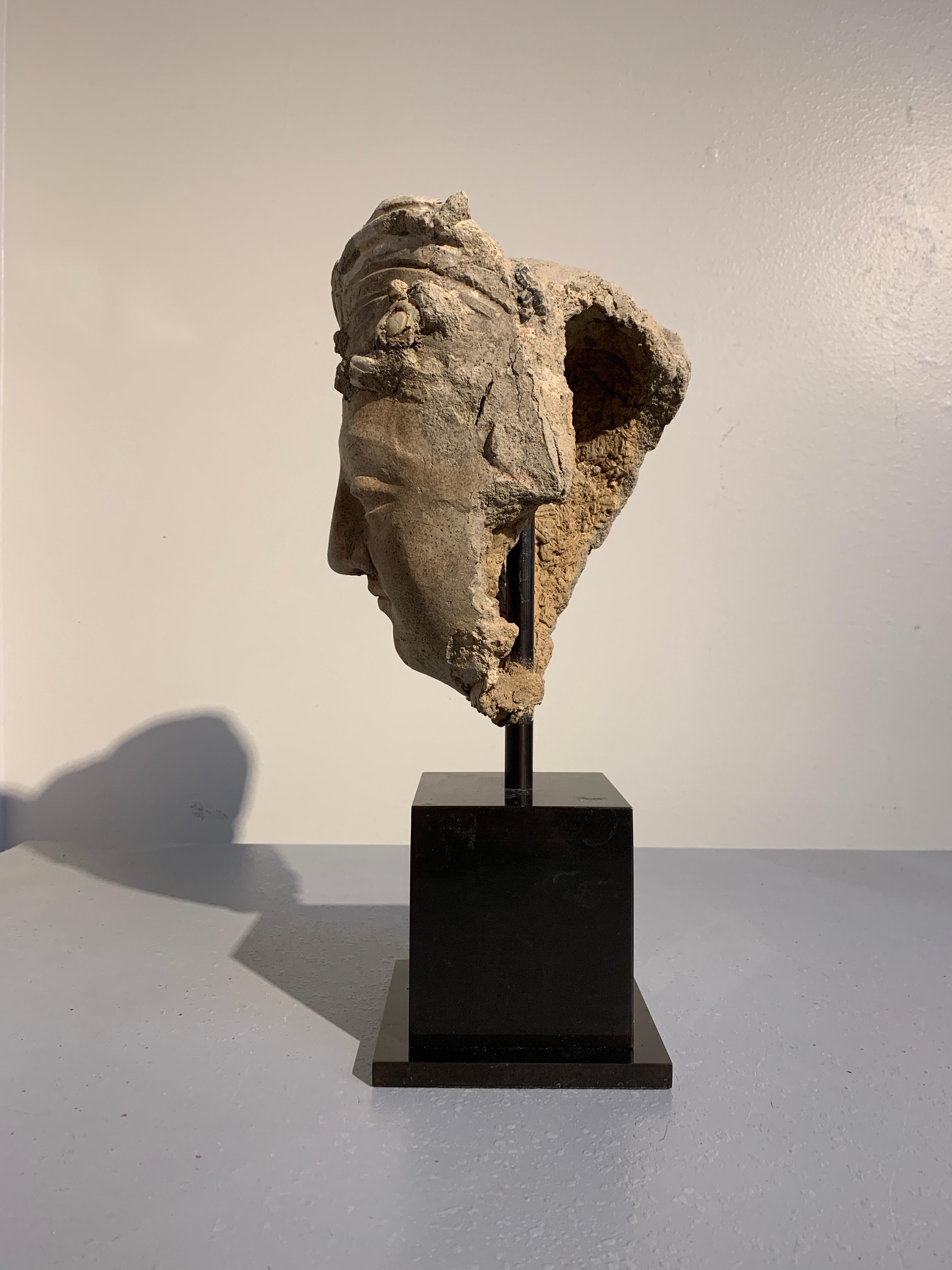 Cabeza de Bodhisattva en estuco gandhariano, región de Hadda, siglos III-V Afgano en venta