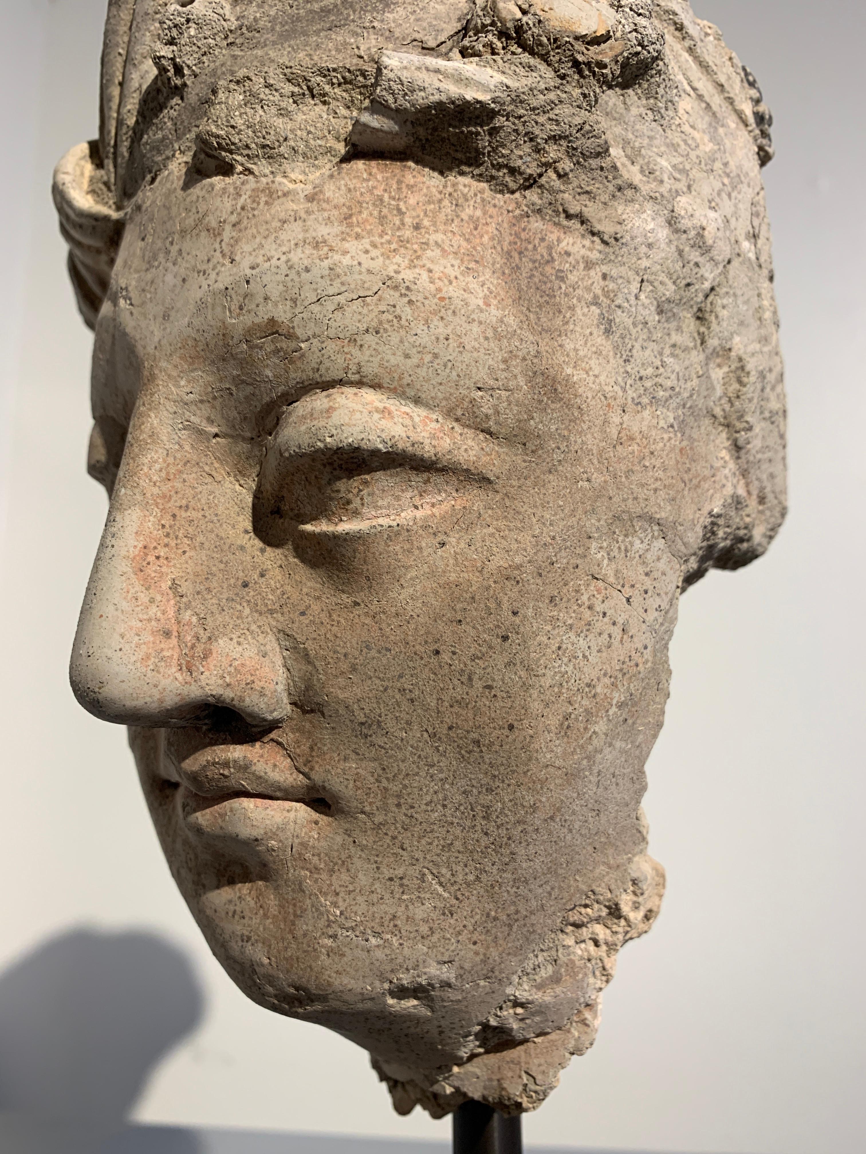 Gandharan Stucco Head of a Bodhisattva, Region of Hadda, 3rd-5th Century In Fair Condition For Sale In Austin, TX