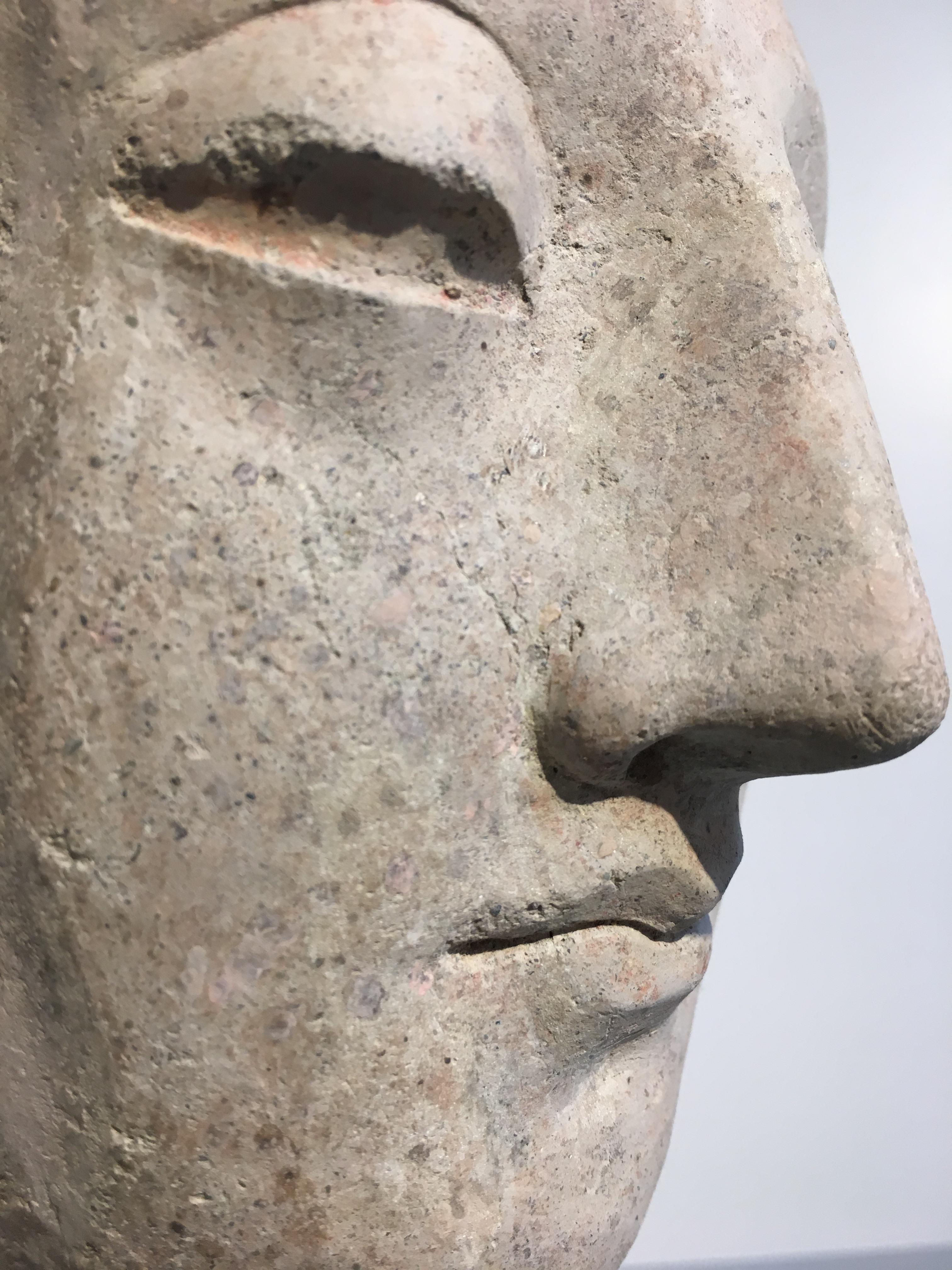 Gandharan Stucco Head of the Buddha, 3rd-5th Century For Sale 1