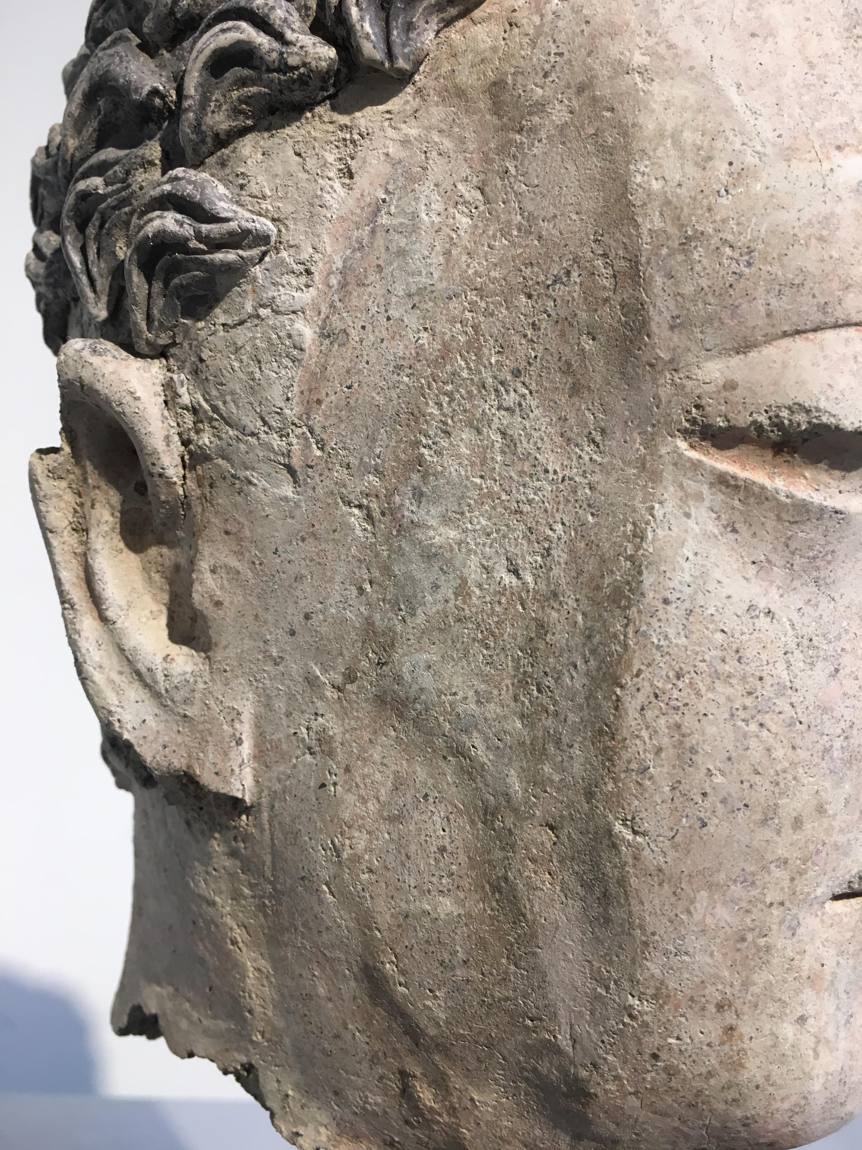 Stuckkopf des Buddha aus Gandharan, 3.-5. Jahrhundert im Angebot 3