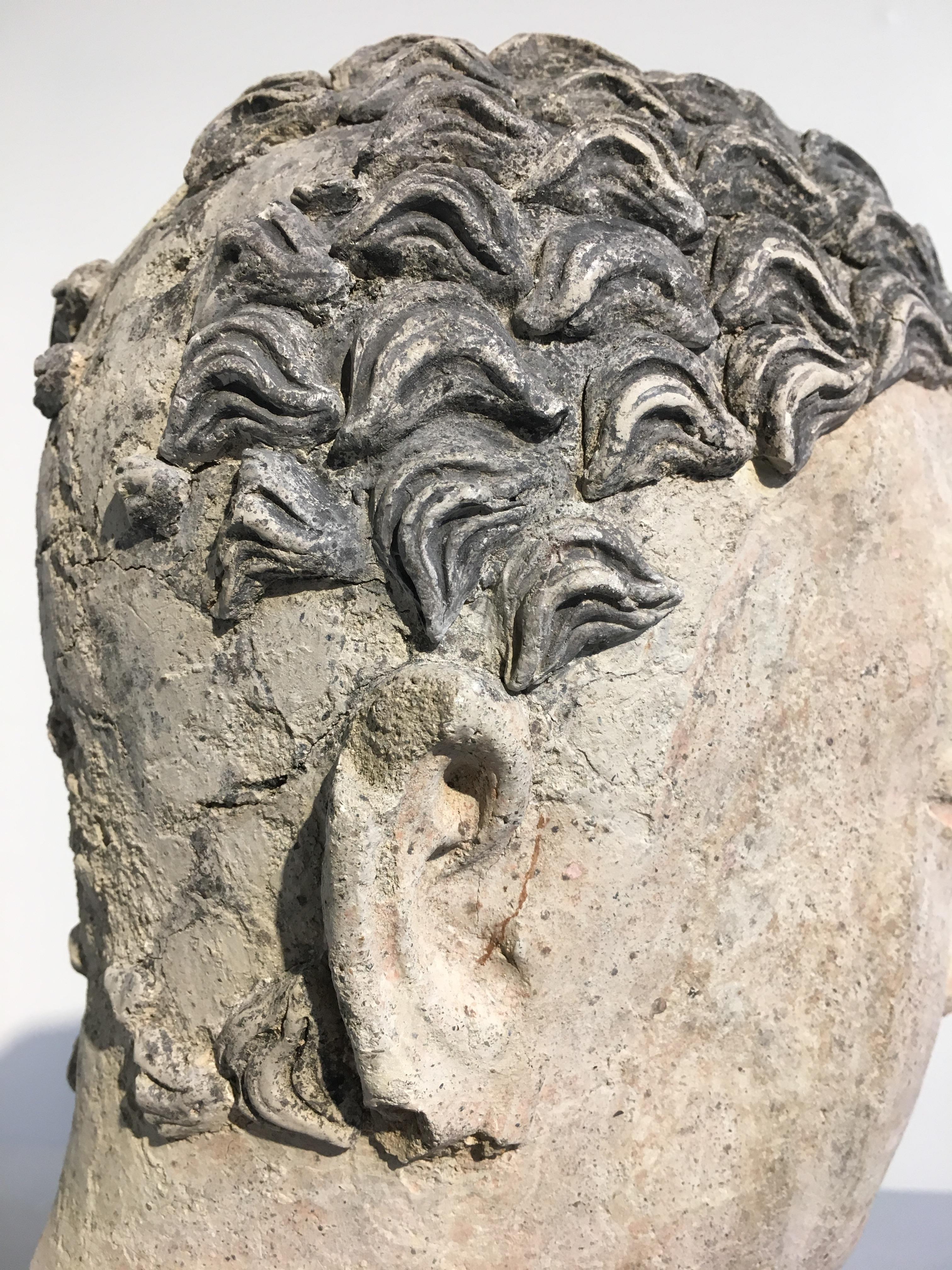 Gandharan Stucco Head of the Buddha, 3rd-5th Century For Sale 4