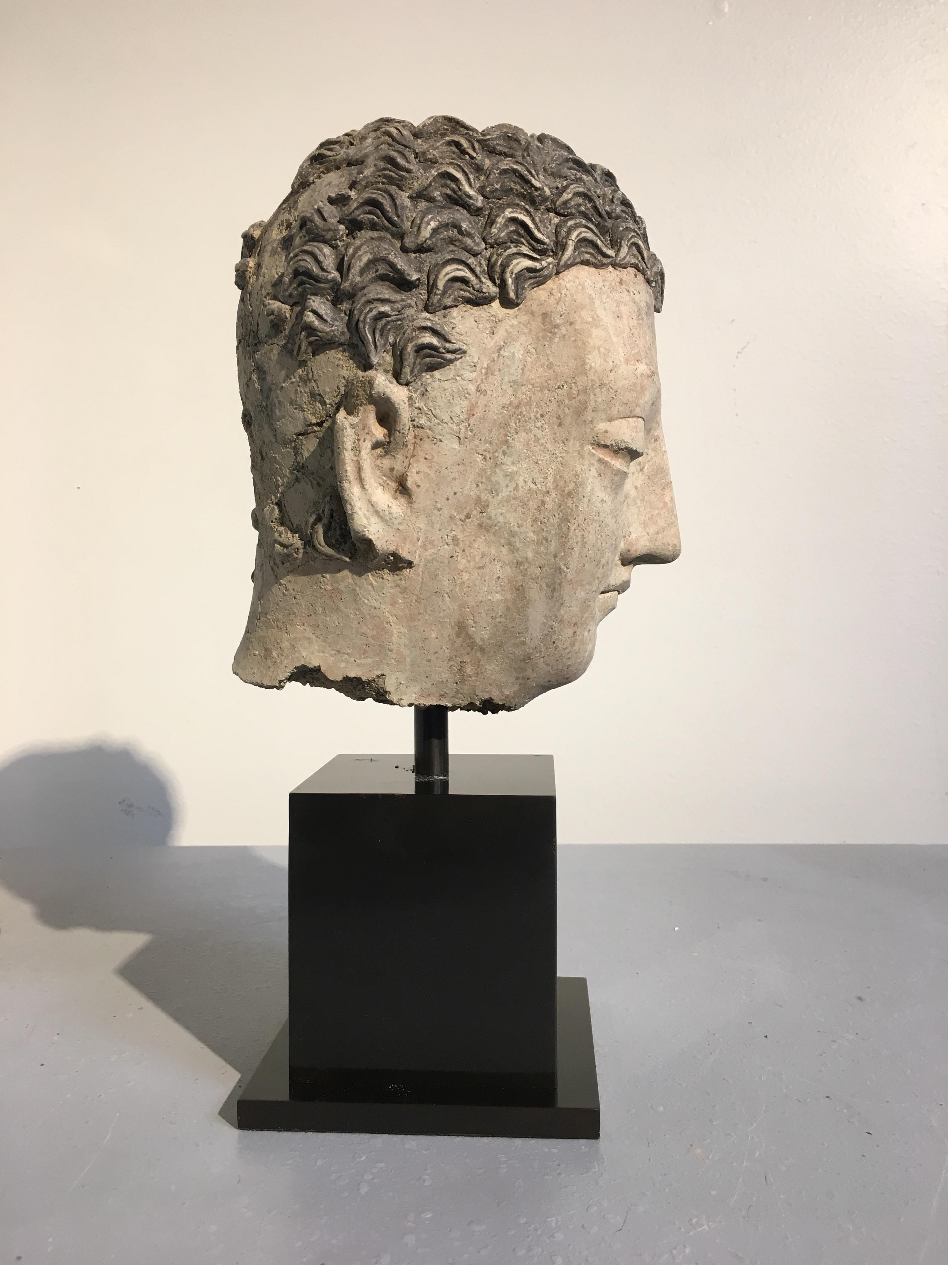 Tête du Bouddha en stuc Gandharan, 3e-5e siècle État moyen - En vente à Austin, TX