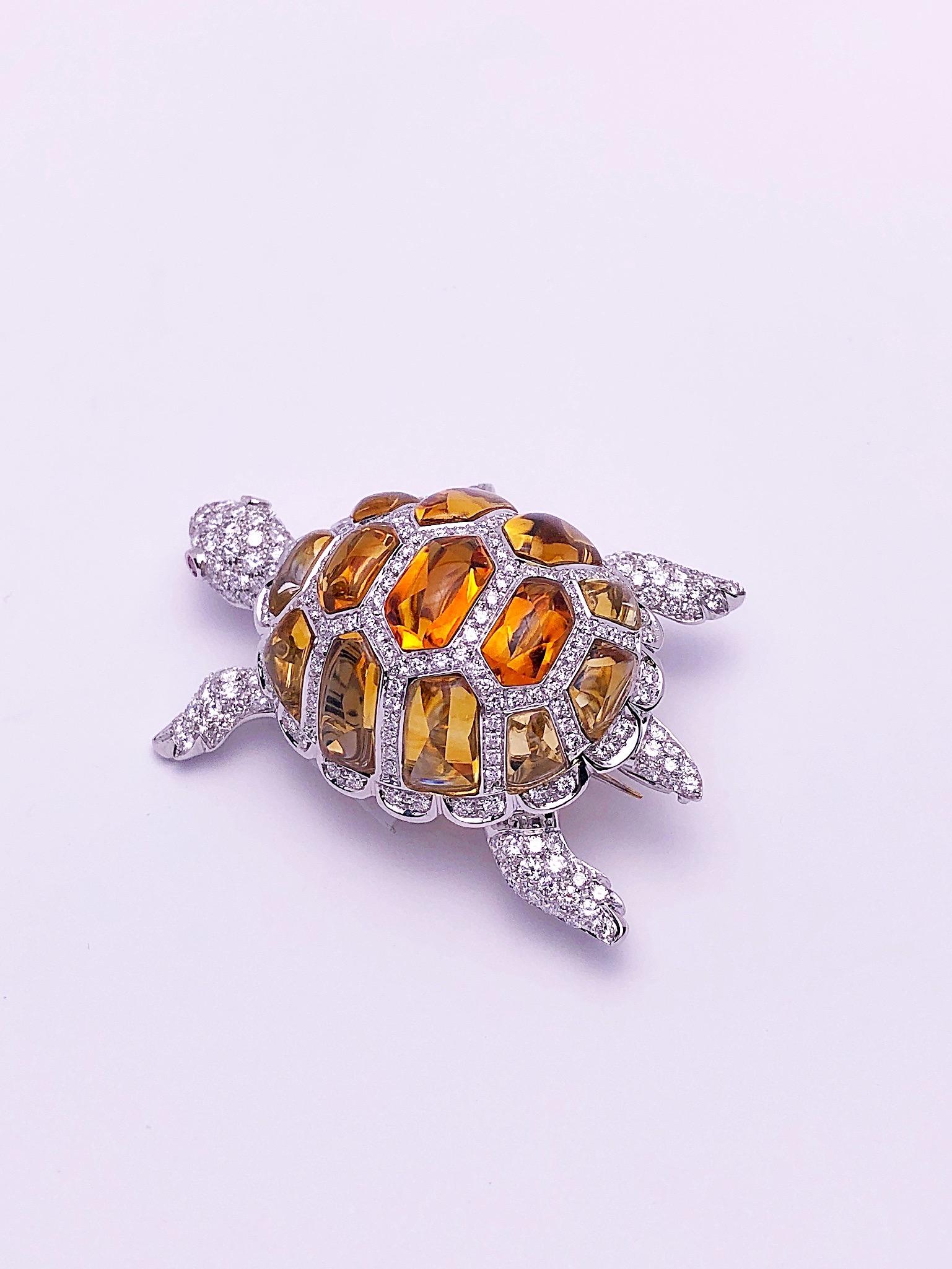 dimond turtle