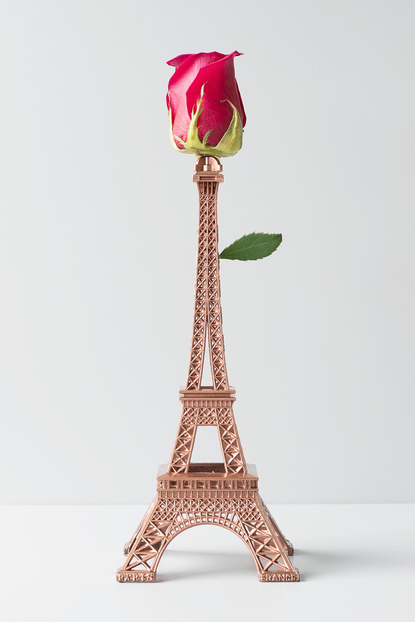 "Untitled 1.17" Photography 35
x 24
inch Edition of 10 by García De Marina