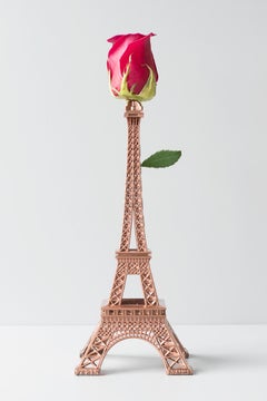 "Untitled 1.17" Photography 35' x 24' inch Edition of 10 by García De Marina