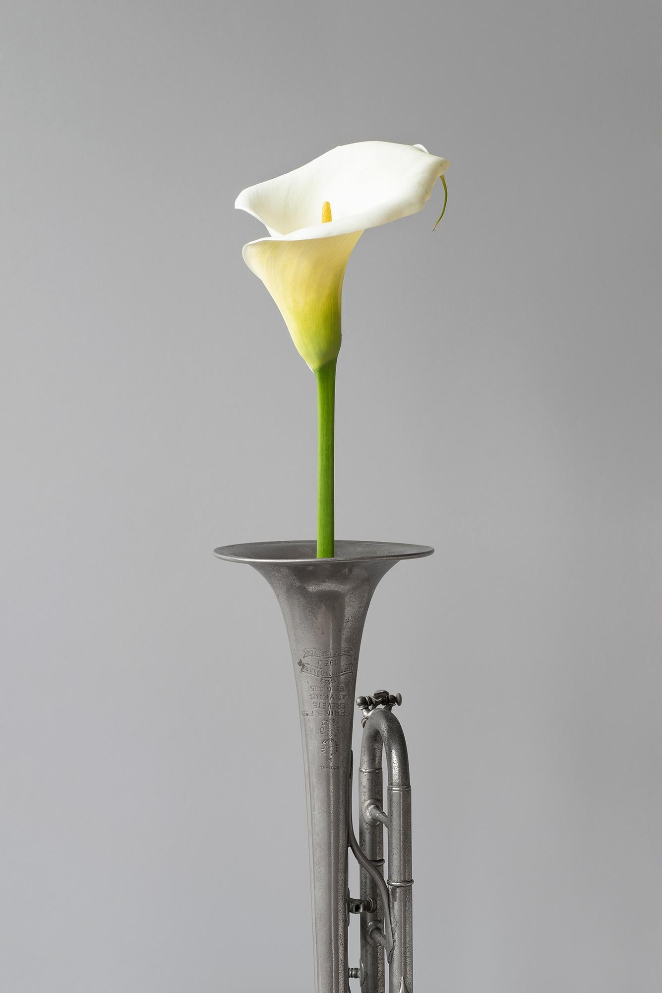 "Untitled 4.21" Photography 35' x 24' inch Edition of 10 by García De Marina
