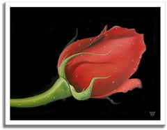 Red Rose, Painting, Oil on Canvas
