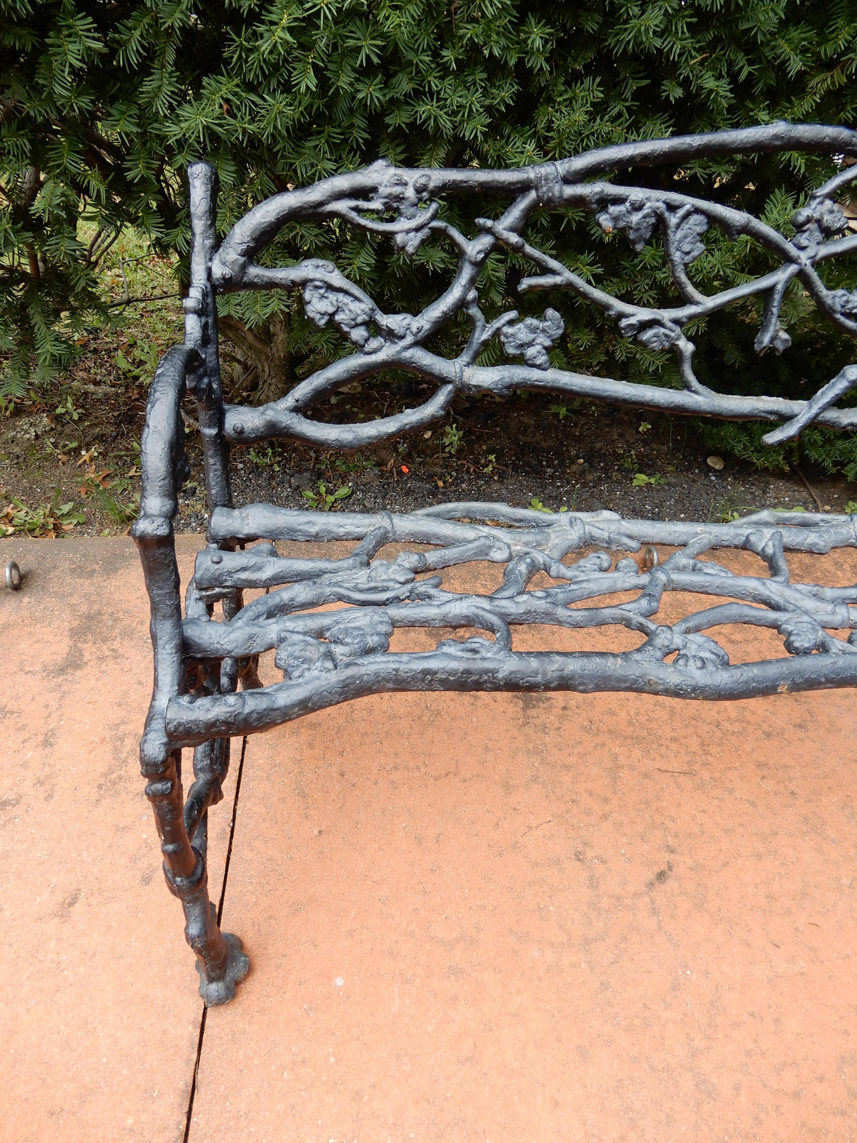 Belle Époque Garden Antique Rustic or Twig Cast Iron Bench & Chair For Sale