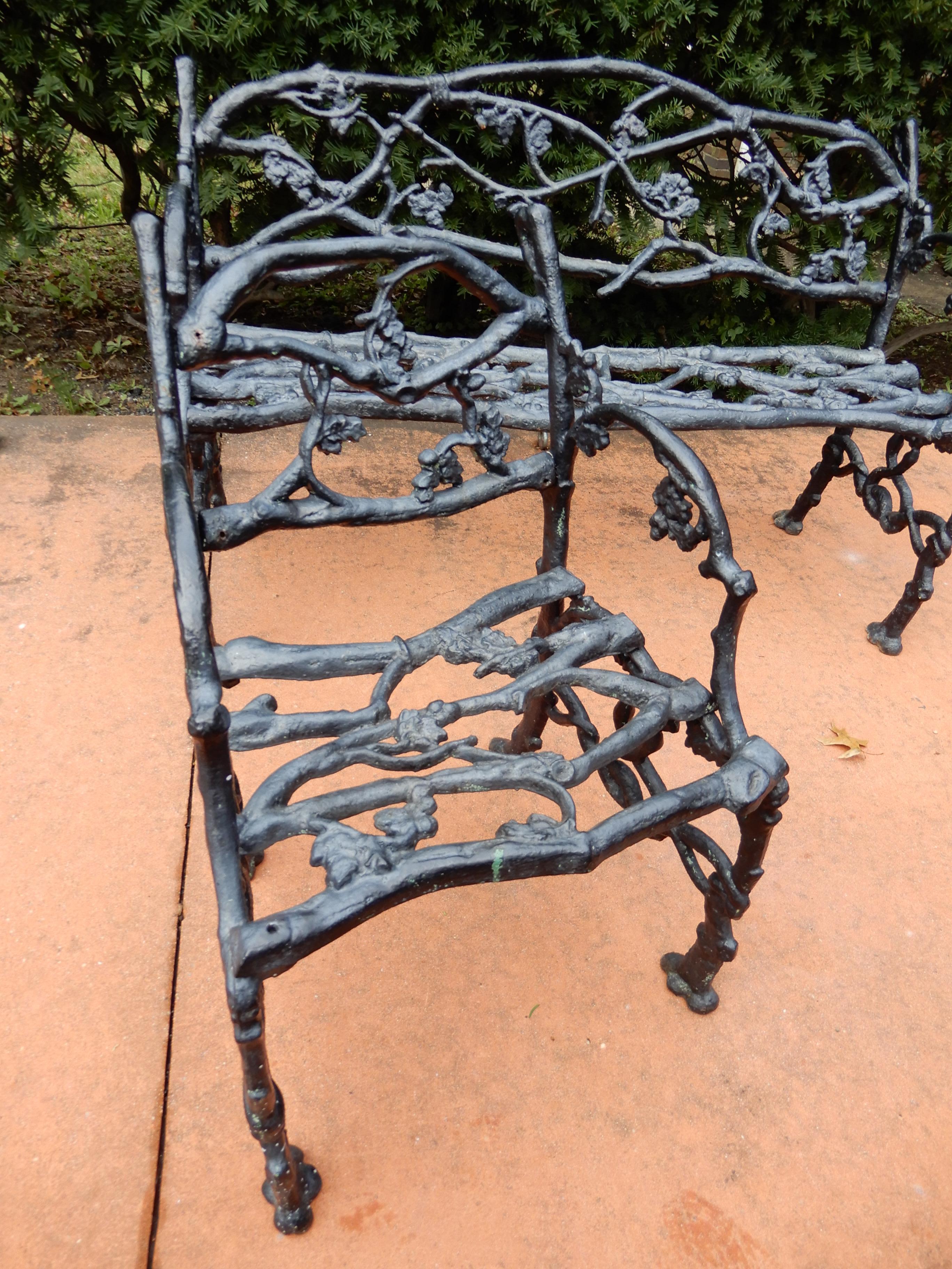 Late 19th Century Garden Antique Rustic or Twig Cast Iron Bench & Chair For Sale