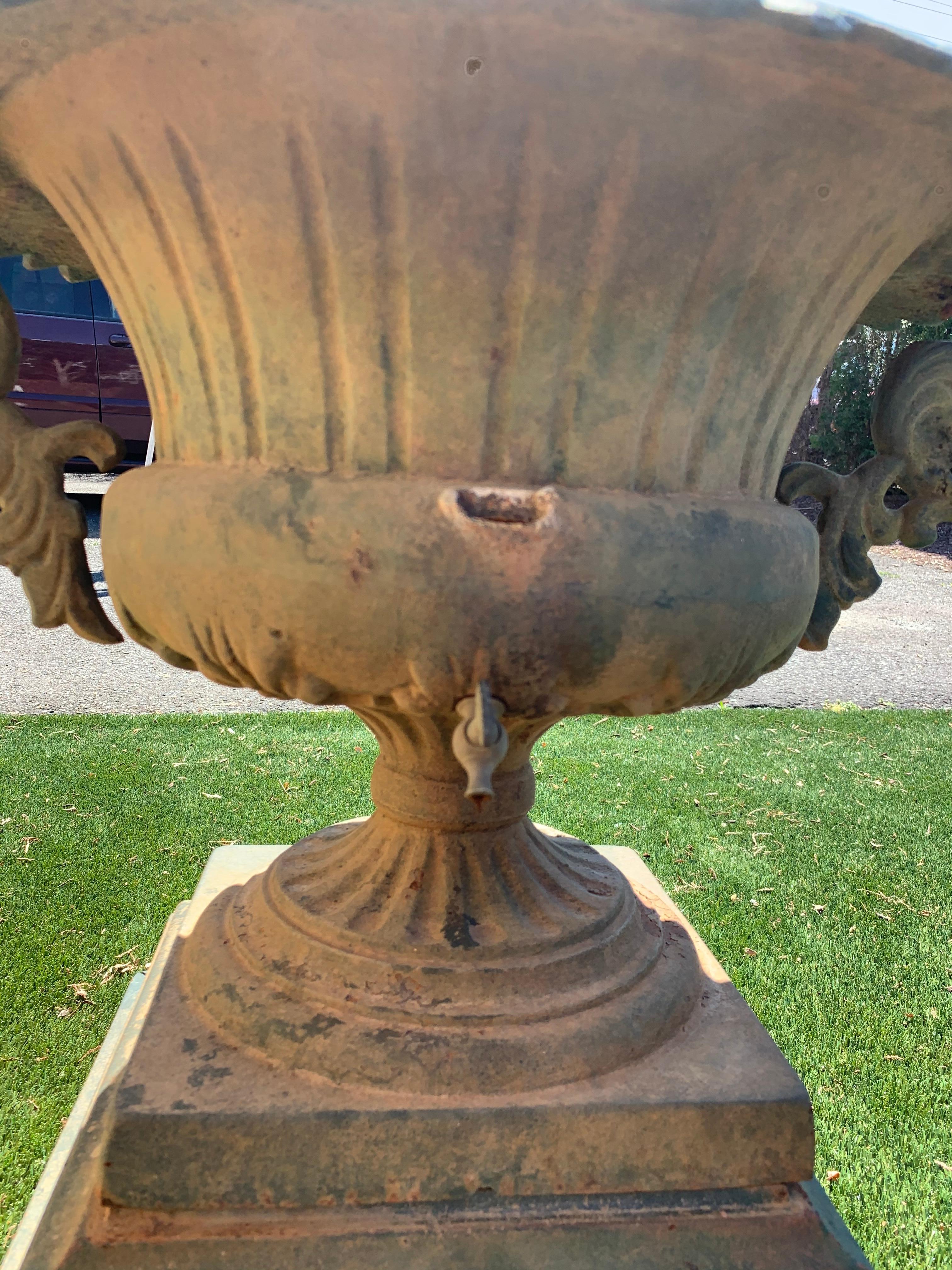 Garden Beauty of an Urn with Gorgeous Verdigris Patina and Fancy Handles 3