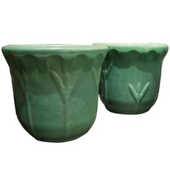 Garden City Iris Ceramic Planters in Tea Dust Green