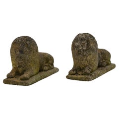 Lions des jardins