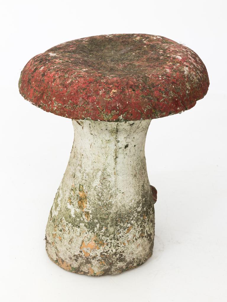 mushroom stool outdoor