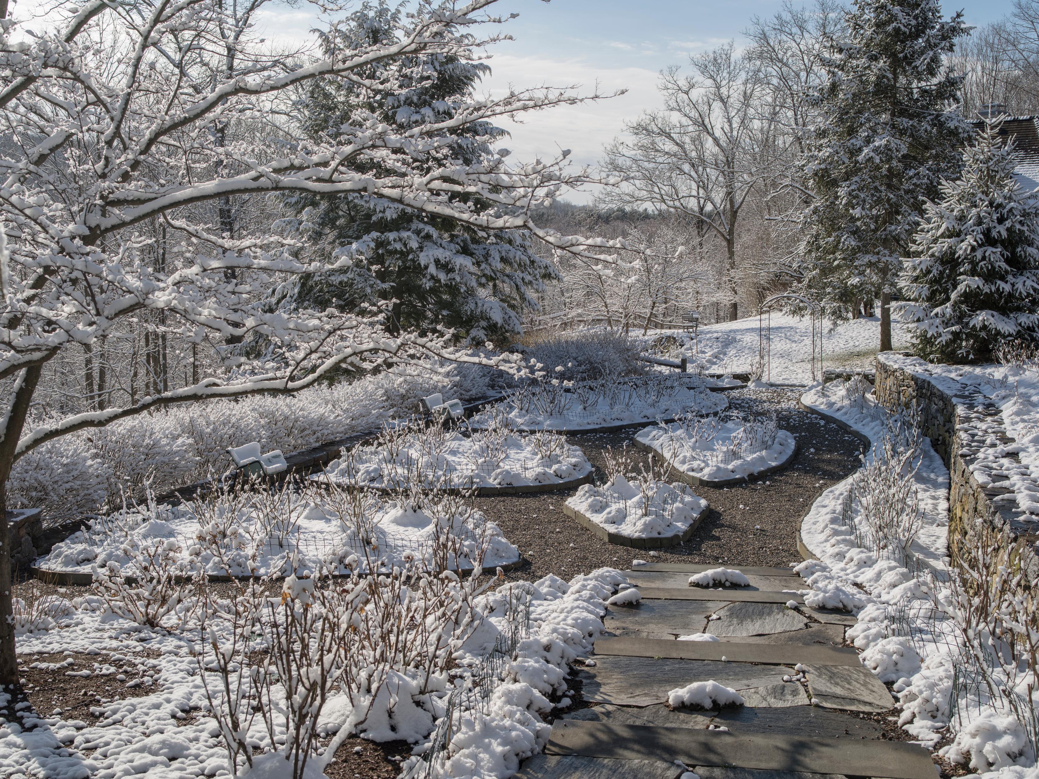 Garden Portraits Experiences of Natural Beauty In New Condition In New York, NY