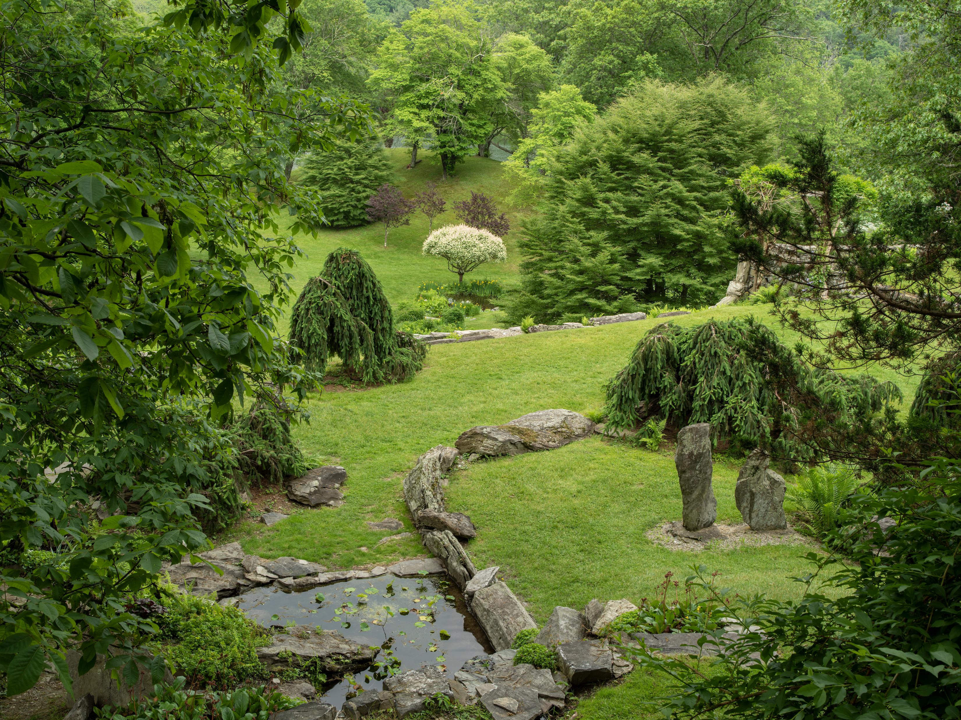 Contemporary Garden Portraits Experiences of Natural Beauty