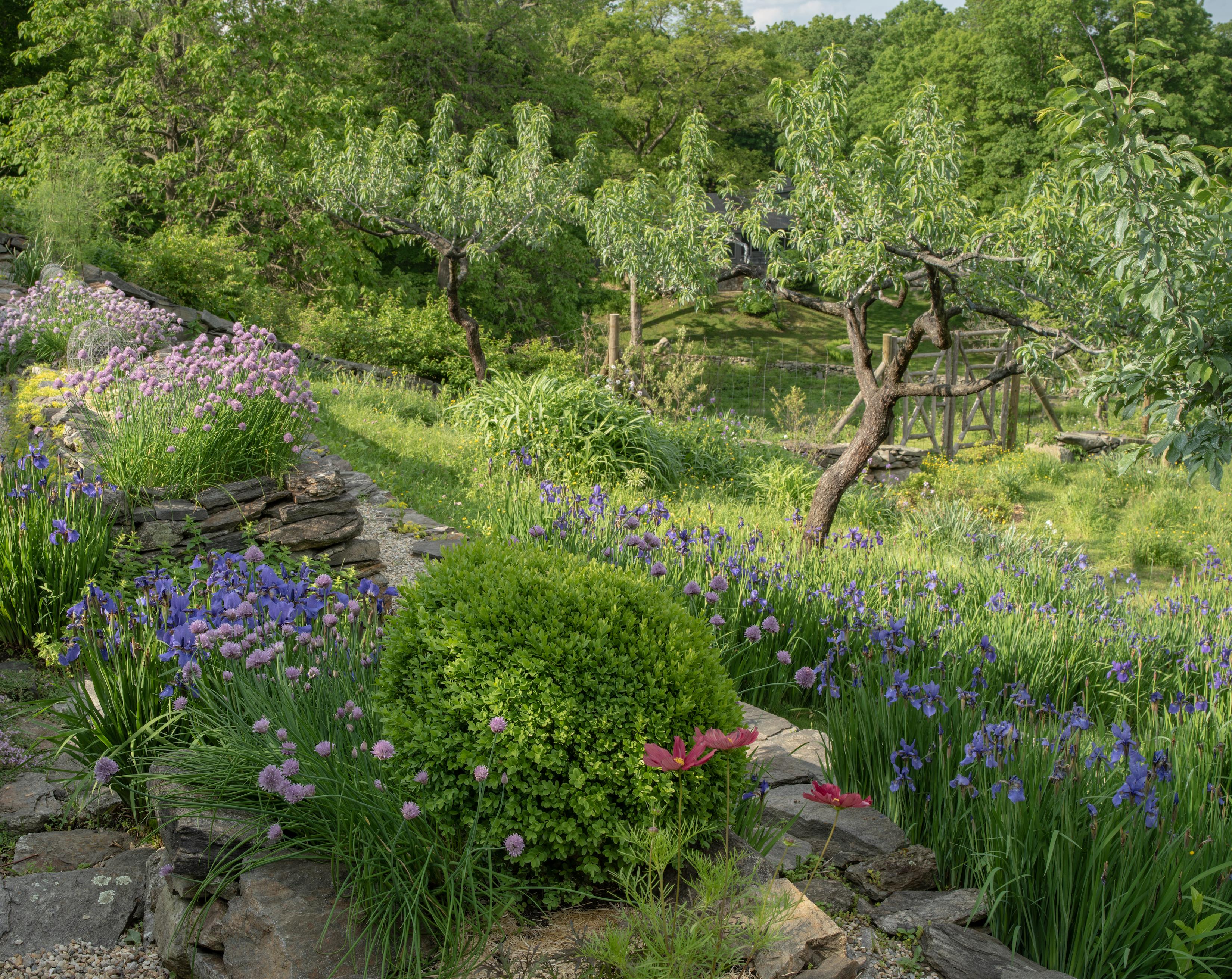 Garden Portraits Experiences of Natural Beauty 2