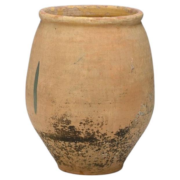 Garden Pot