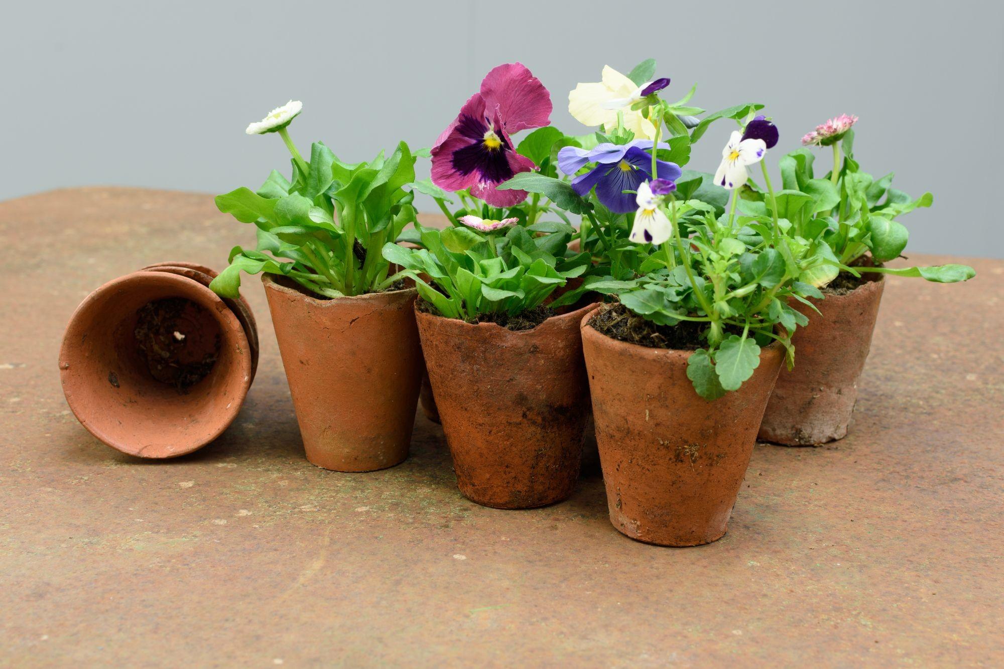 Provincial français Table de jardin en vente