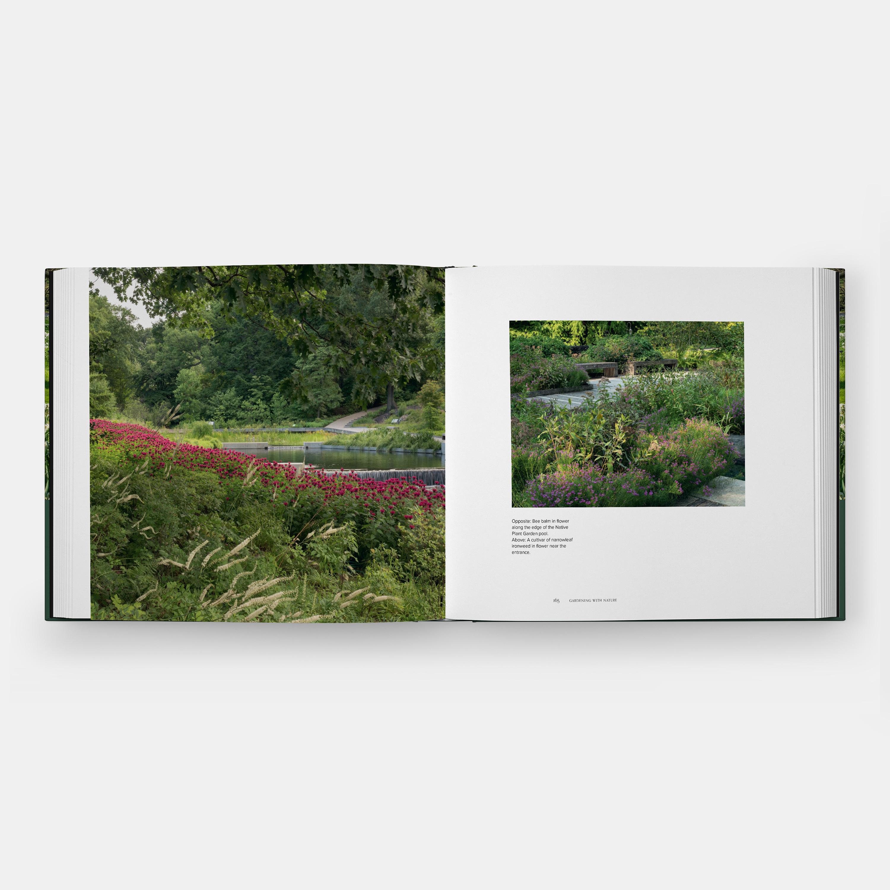 Un'esplorazione dell'equilibrio tra la mano del giardiniere e la forza della natura nel paesaggio del Giardino Botanico di New York.

Il giardino botanico di New York, famoso in tutto il mondo, è una destinazione culturale poliedrica di 250 acri
