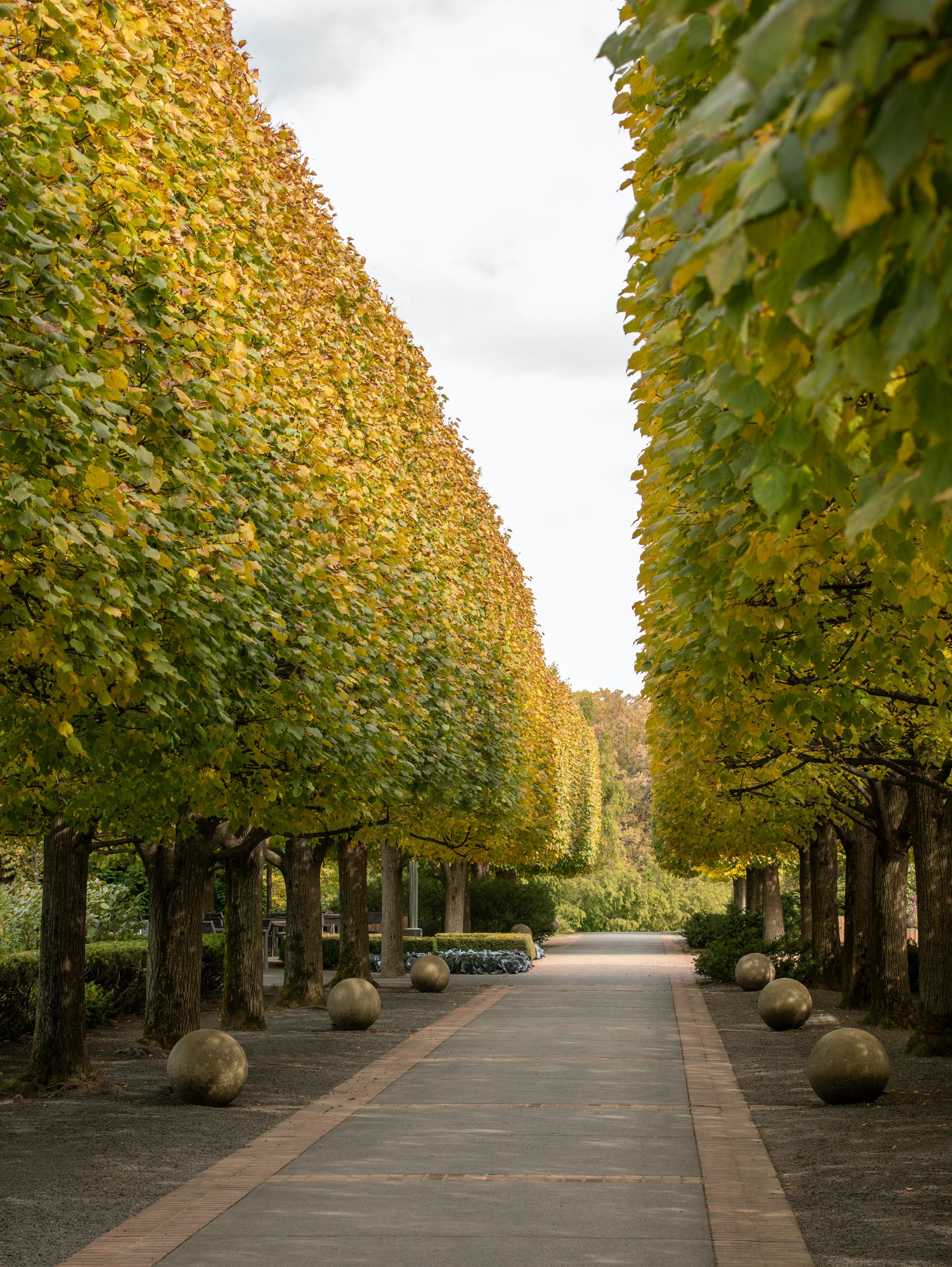 Gardens of the North Shore of Chicago In New Condition For Sale In New York, NY