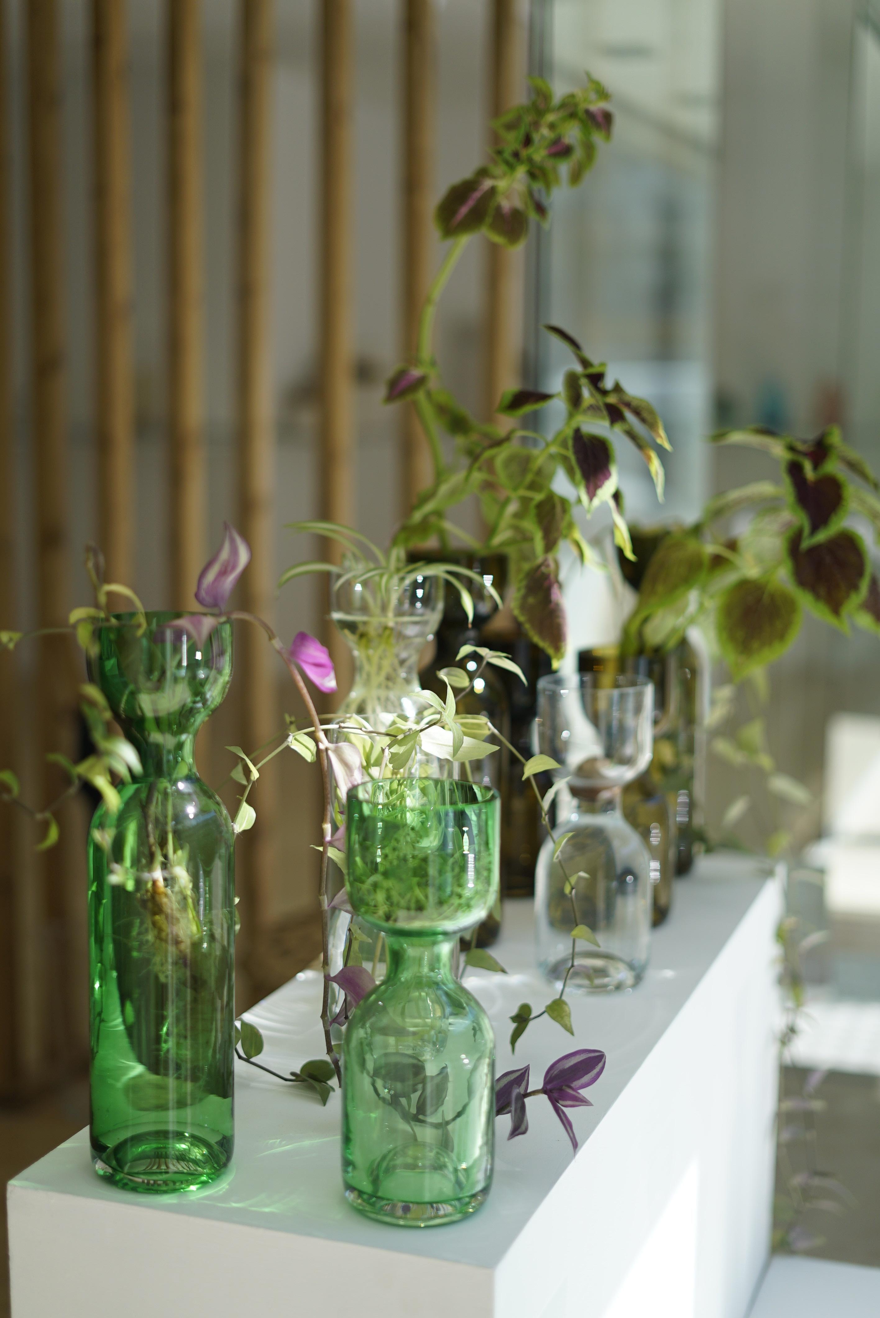 Gargalos is a collection of blown glass vases, designed by Brazillian designers Brunno Jahara and Patricia Bagniewski, made for Vicara. 

Gargalos was born from the meeting between Rio de Janeiro's designer and Brasilia's artist, who initially got