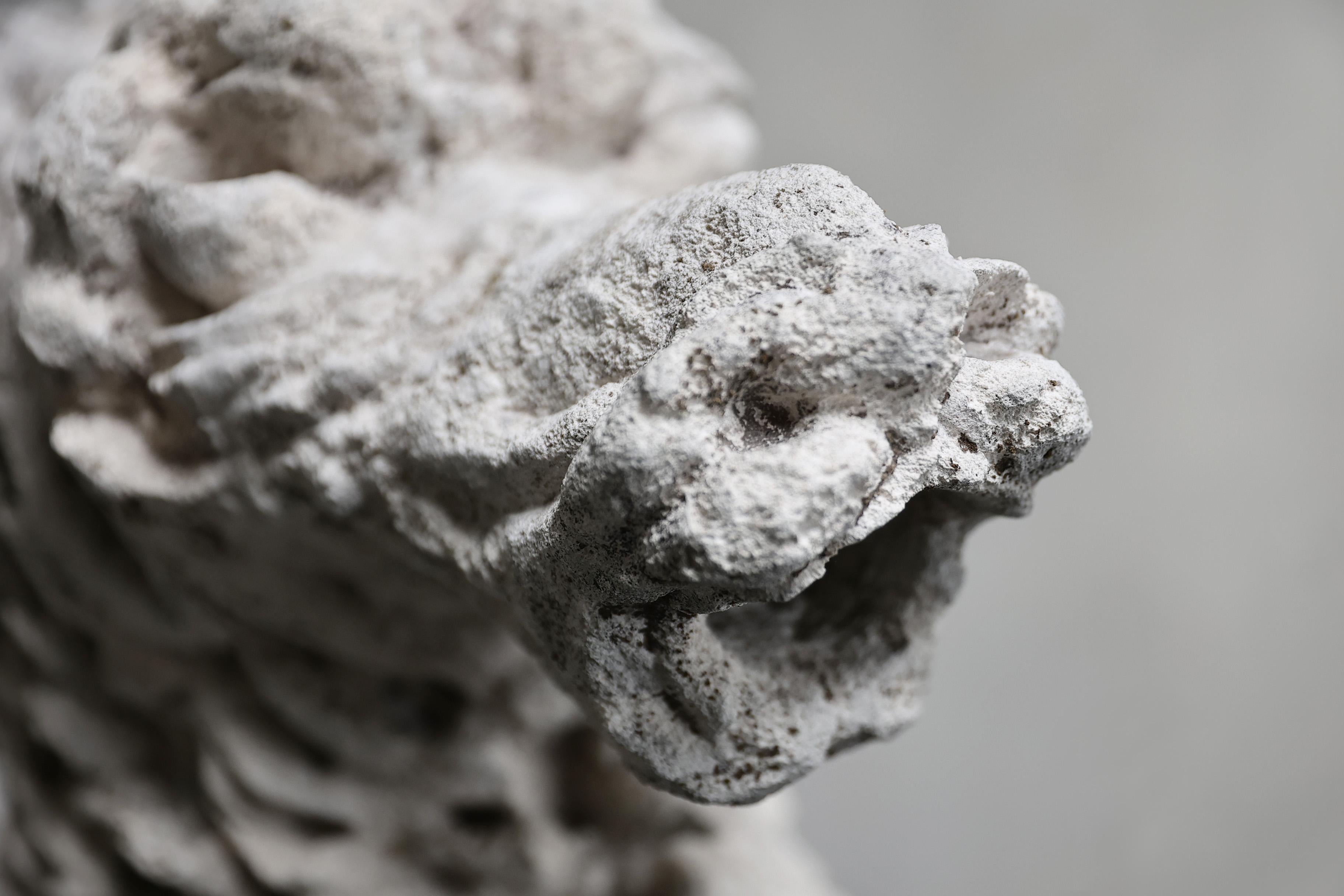 Gargoyle de calcaire français en vente 3