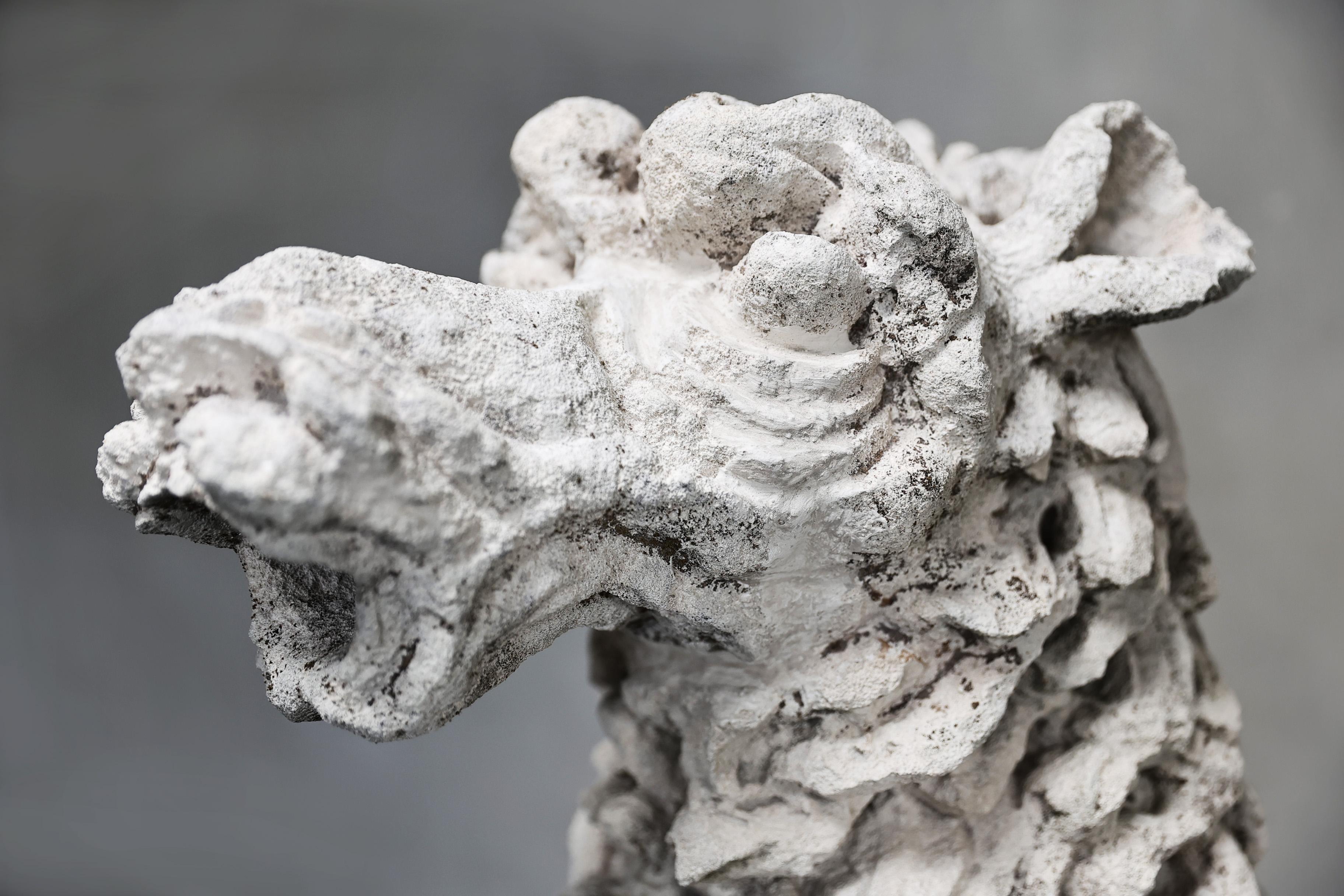 Gargoyle de calcaire français en vente 4