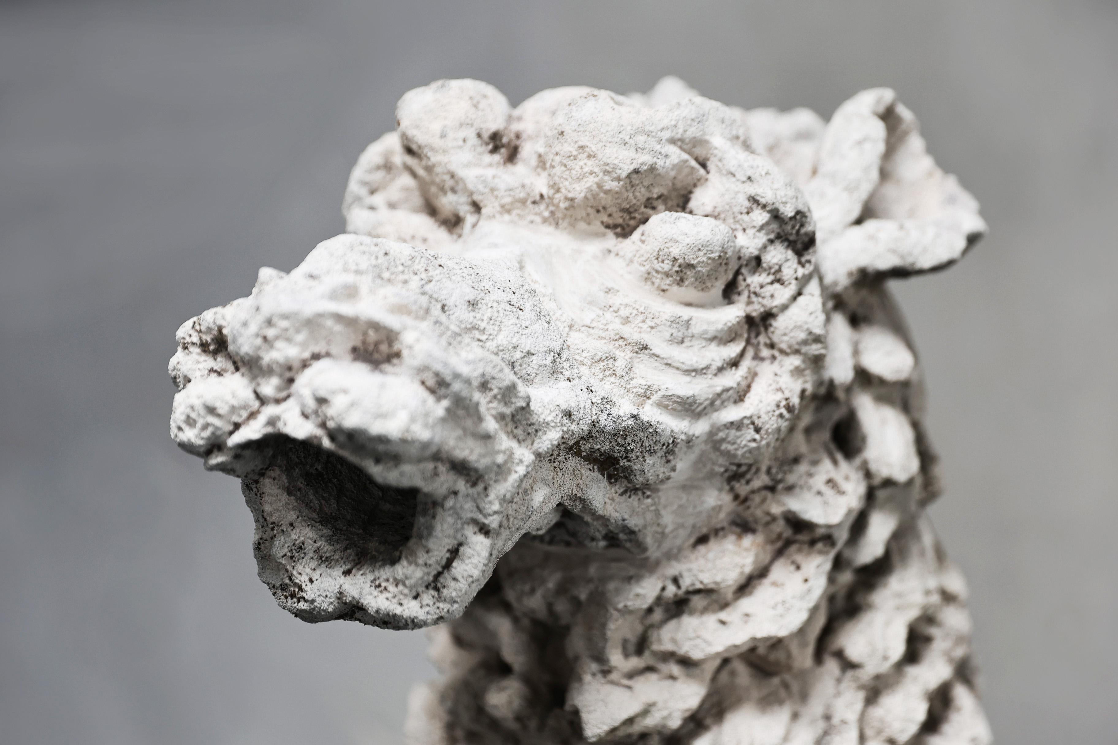 Calcaire Gargoyle de calcaire français en vente