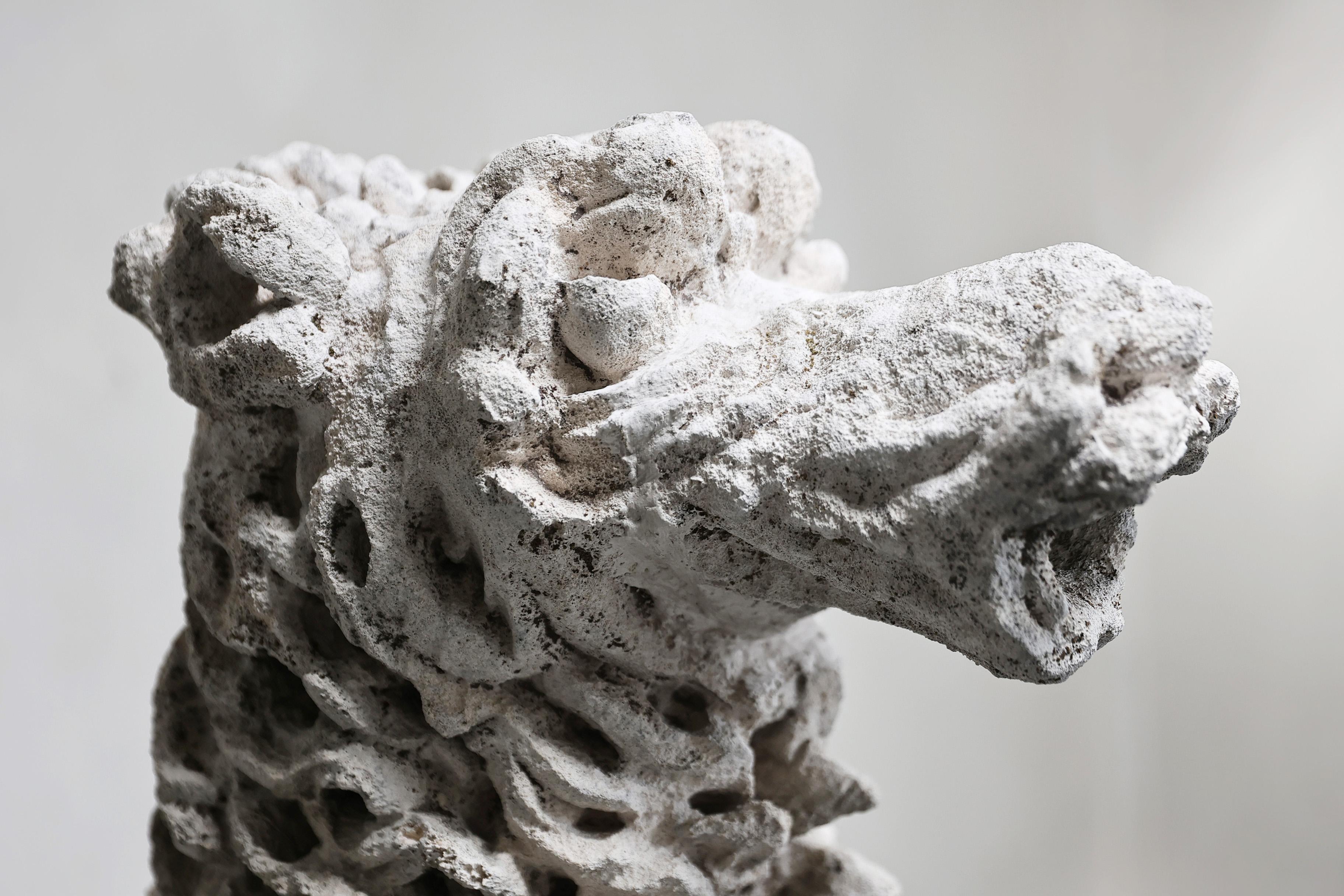 Gargoyle de calcaire français en vente 1