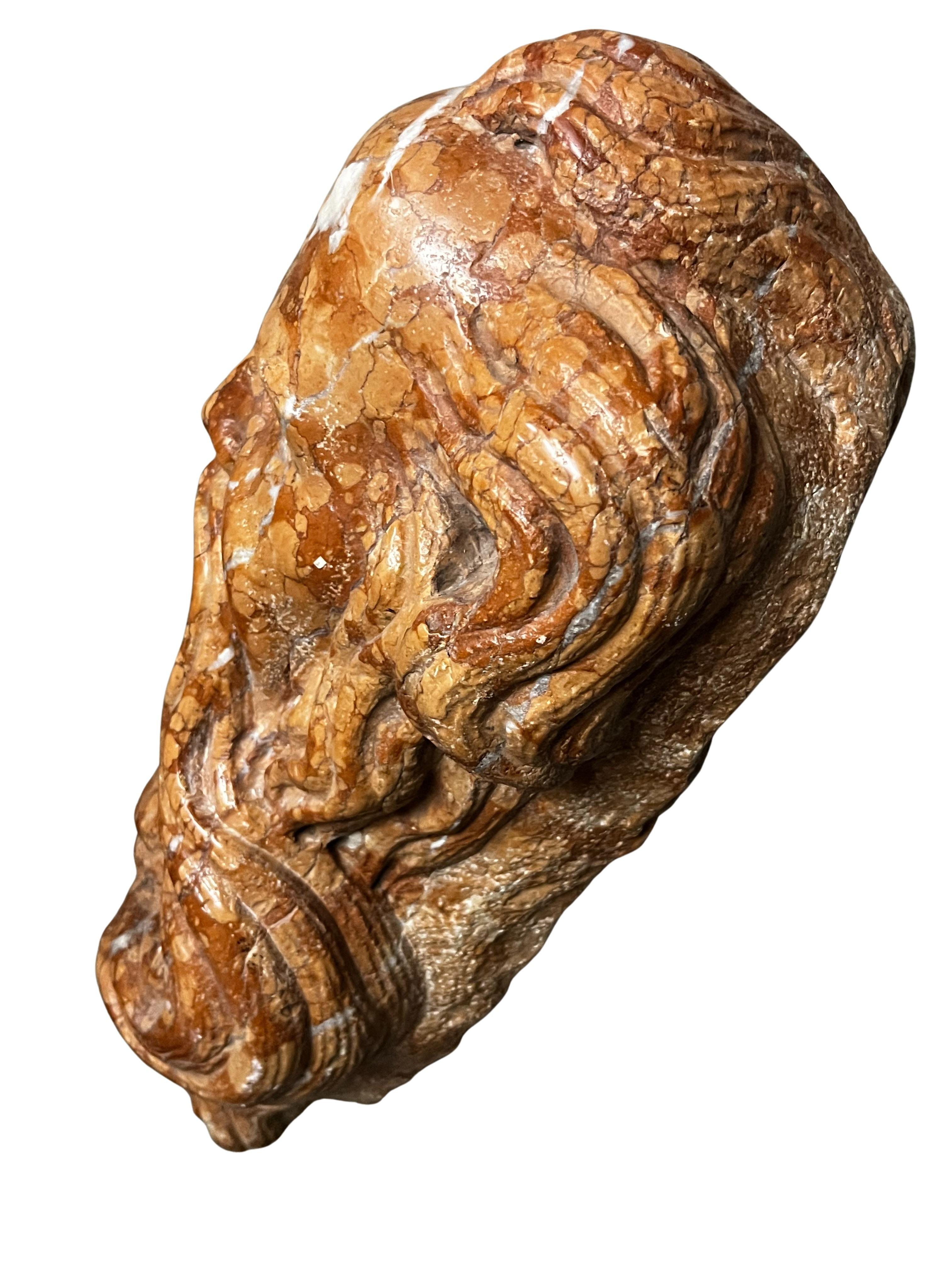 Gárgola, cabeza de filósofo chorreando agua, mármol, principios del siglo XX, Italia en venta 1