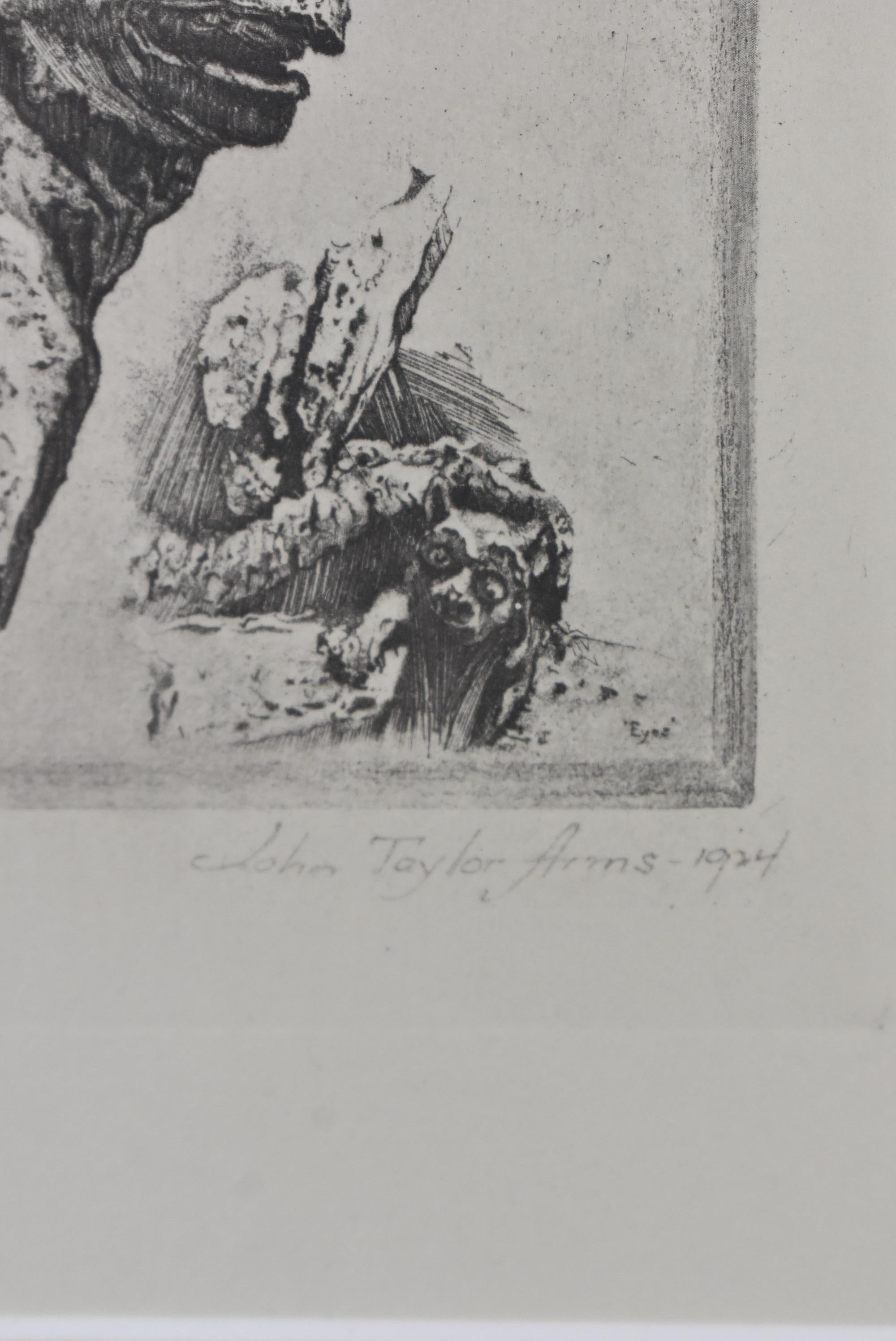 Buriné Gravure d'études Gargoyle de John Taylor Arms en vente