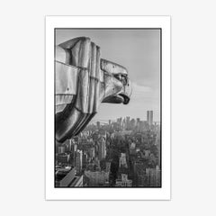 "Gargoyles of Gotham" Photograph by Don Hamerman