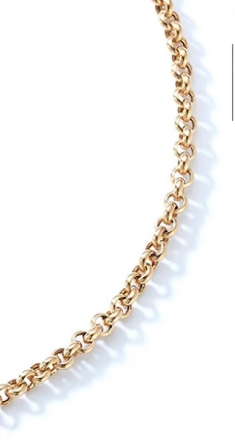 Catena Belcher di transizione della Garland Collection in oro con charm clip e clip per cani in vendita 12