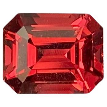 Grenat Naturel Rhodolite Pierre précieuse en vrac

Certifié par le laboratoire GFCO
Couleur de la pierre : VIVID RED-ORANGE/ORANGE-RED
Type de pierre précieuse : Grenat
Taille de la pierre : 9.41x7.63x5.73 mm
Qualité de la coupe :