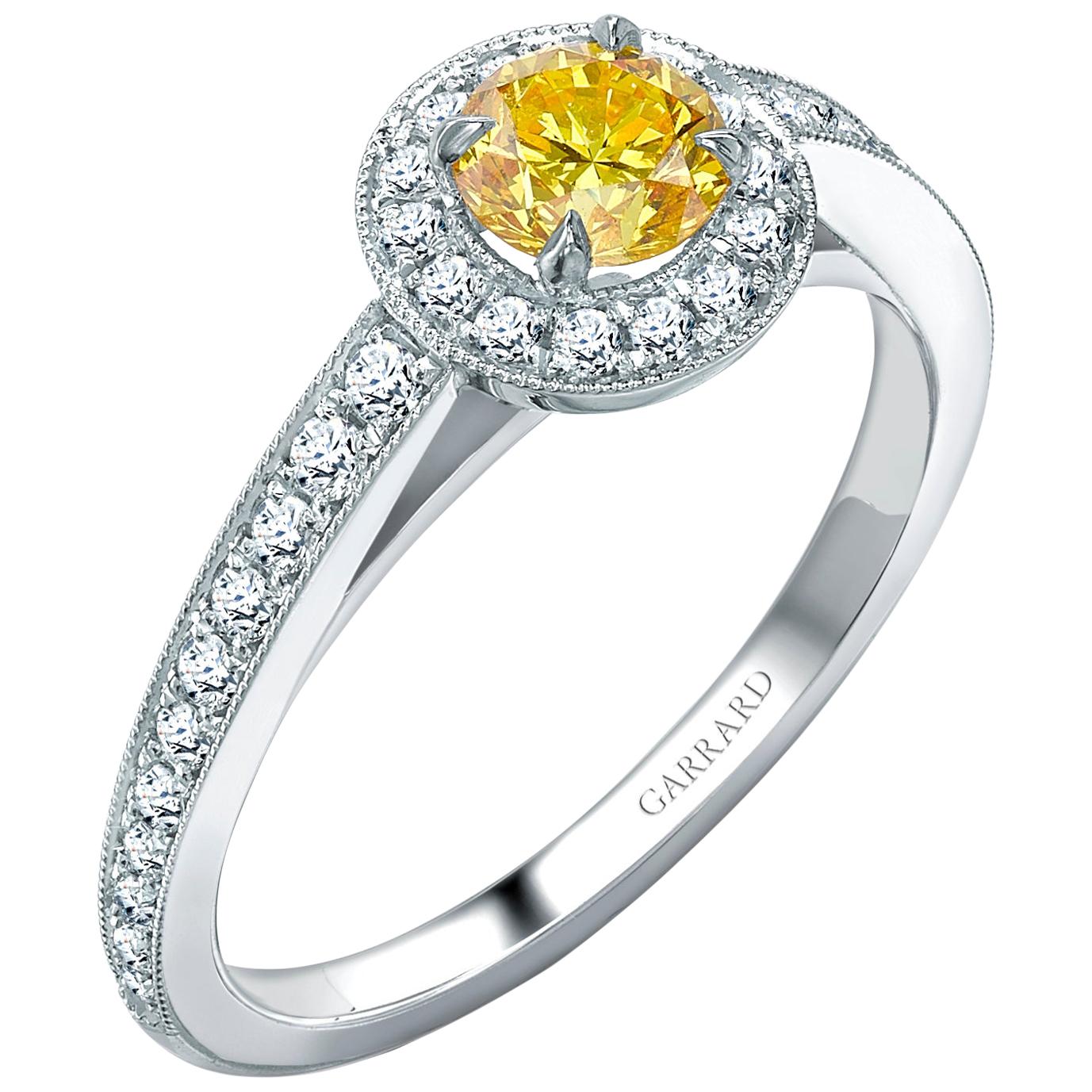 Garrard 'Evermore' Platinum GIA Certified Round Yellow and White Diamond Ring For Sale