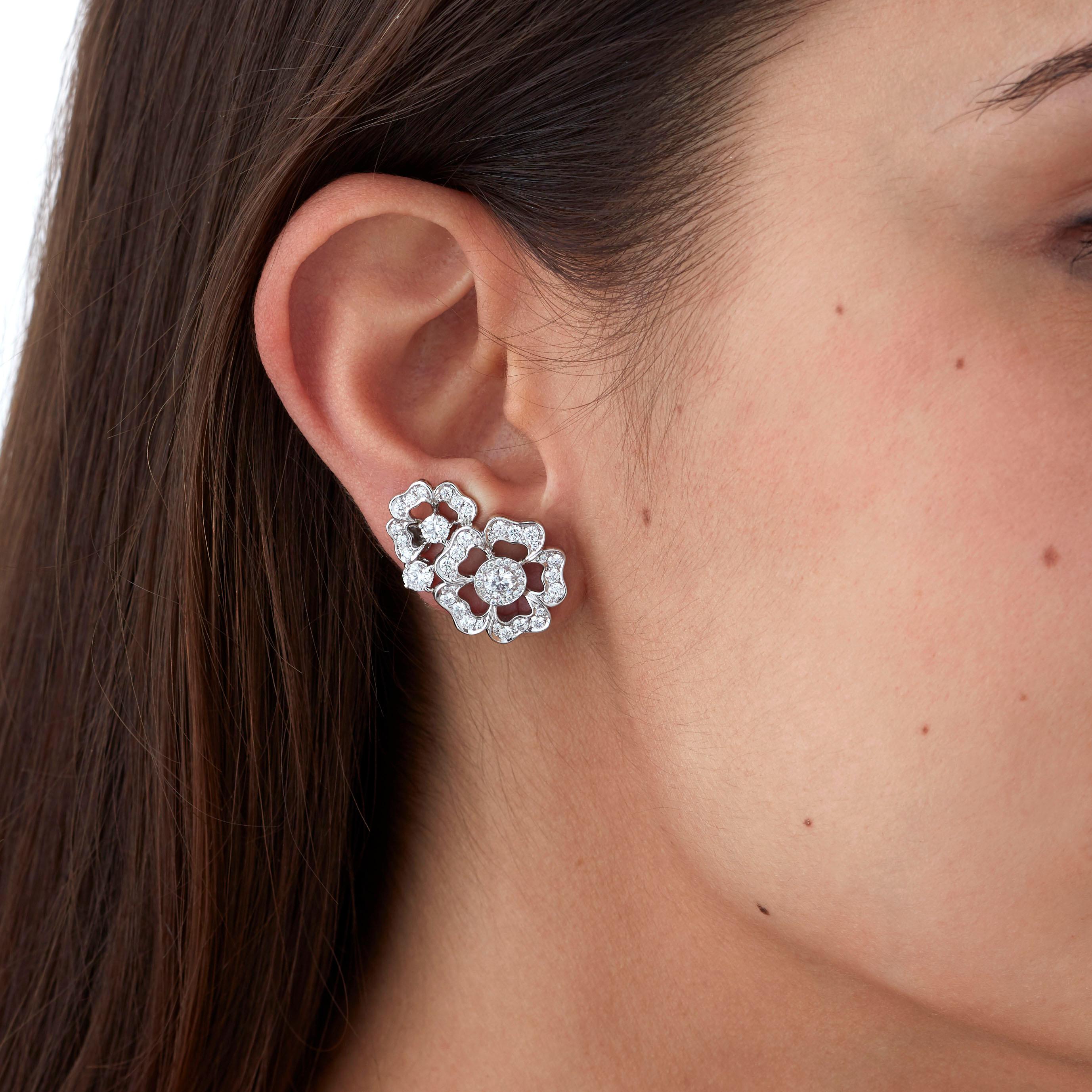 tudor rose earrings